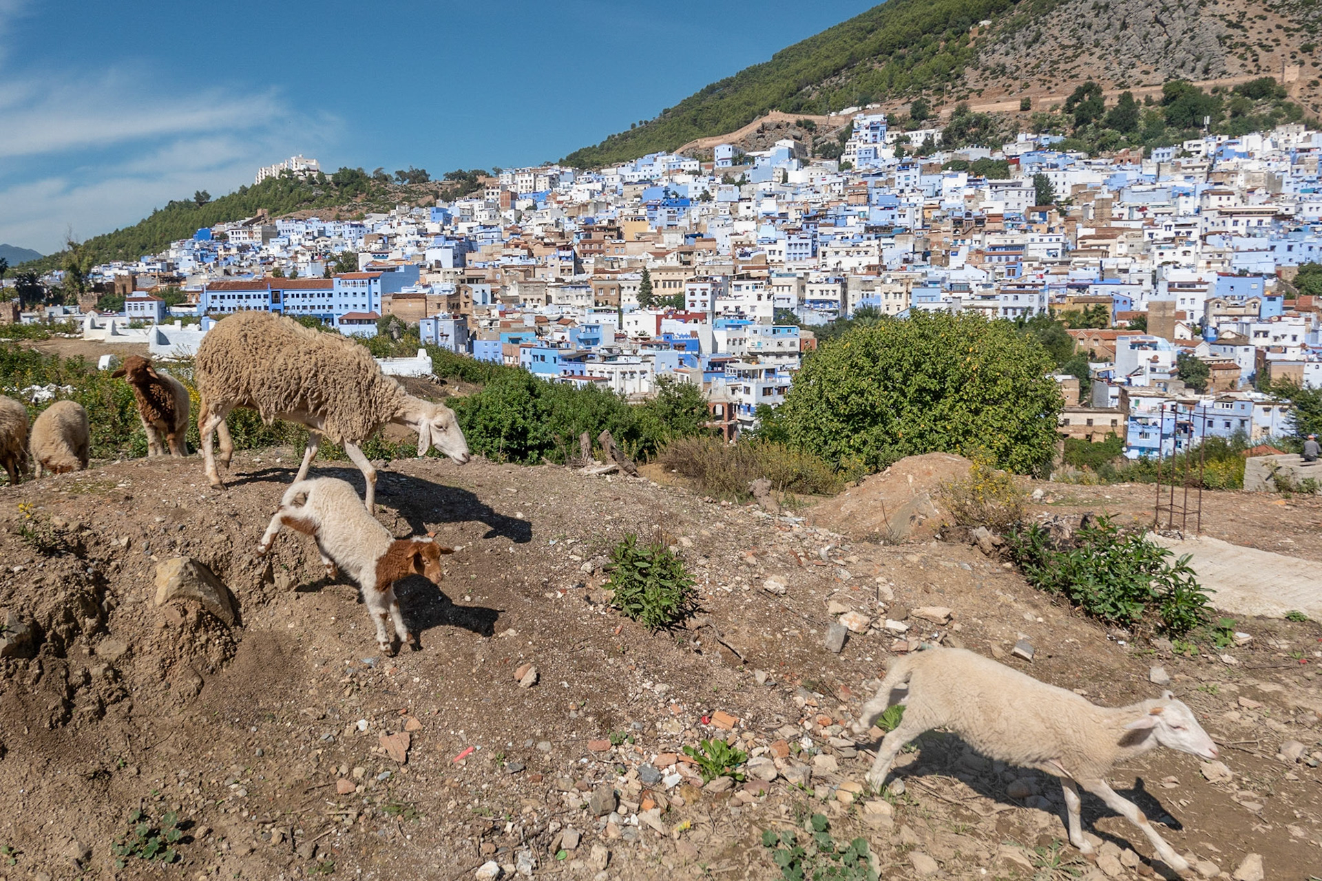 Chefchaouen