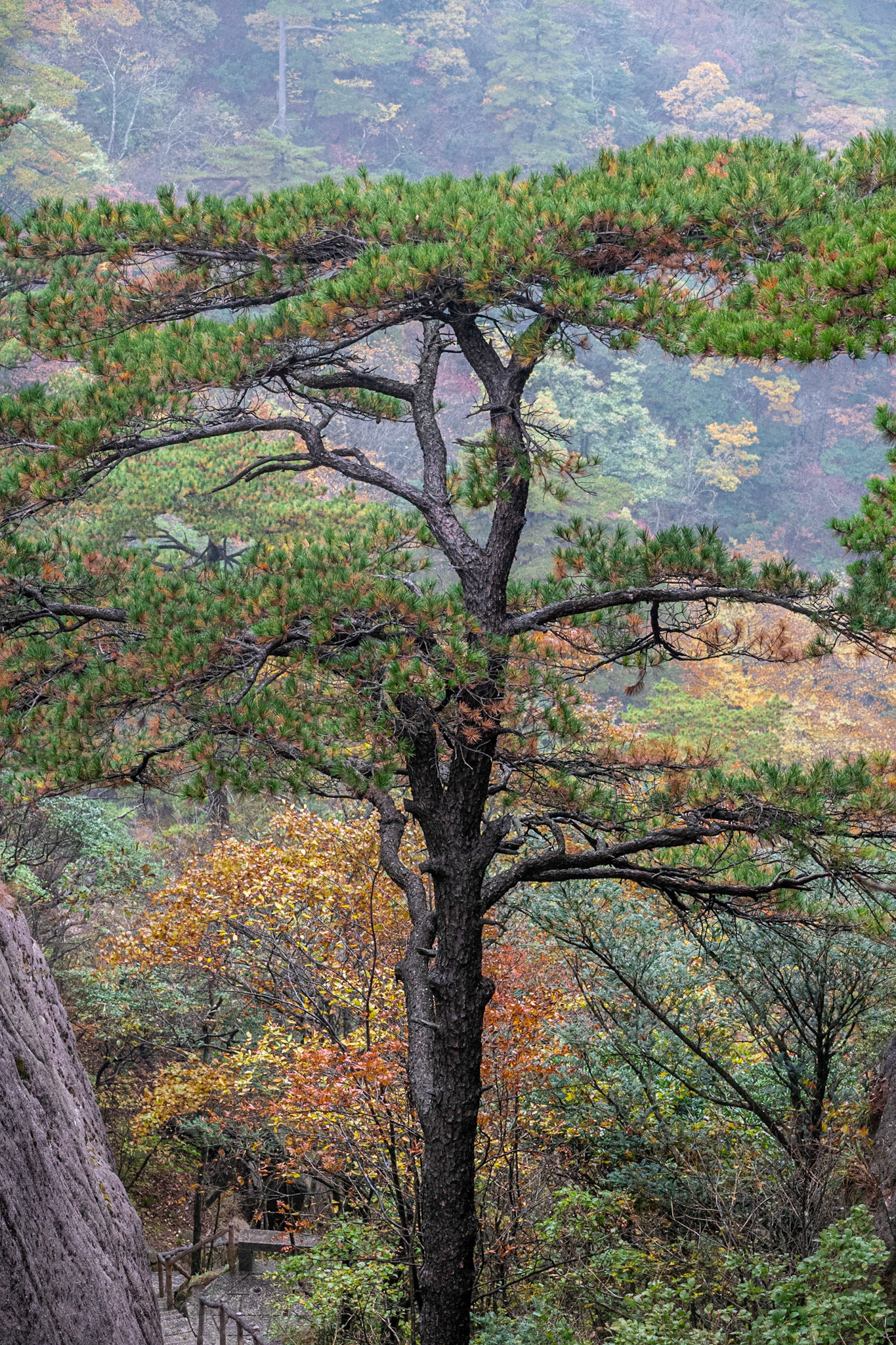 Yellow Mountains