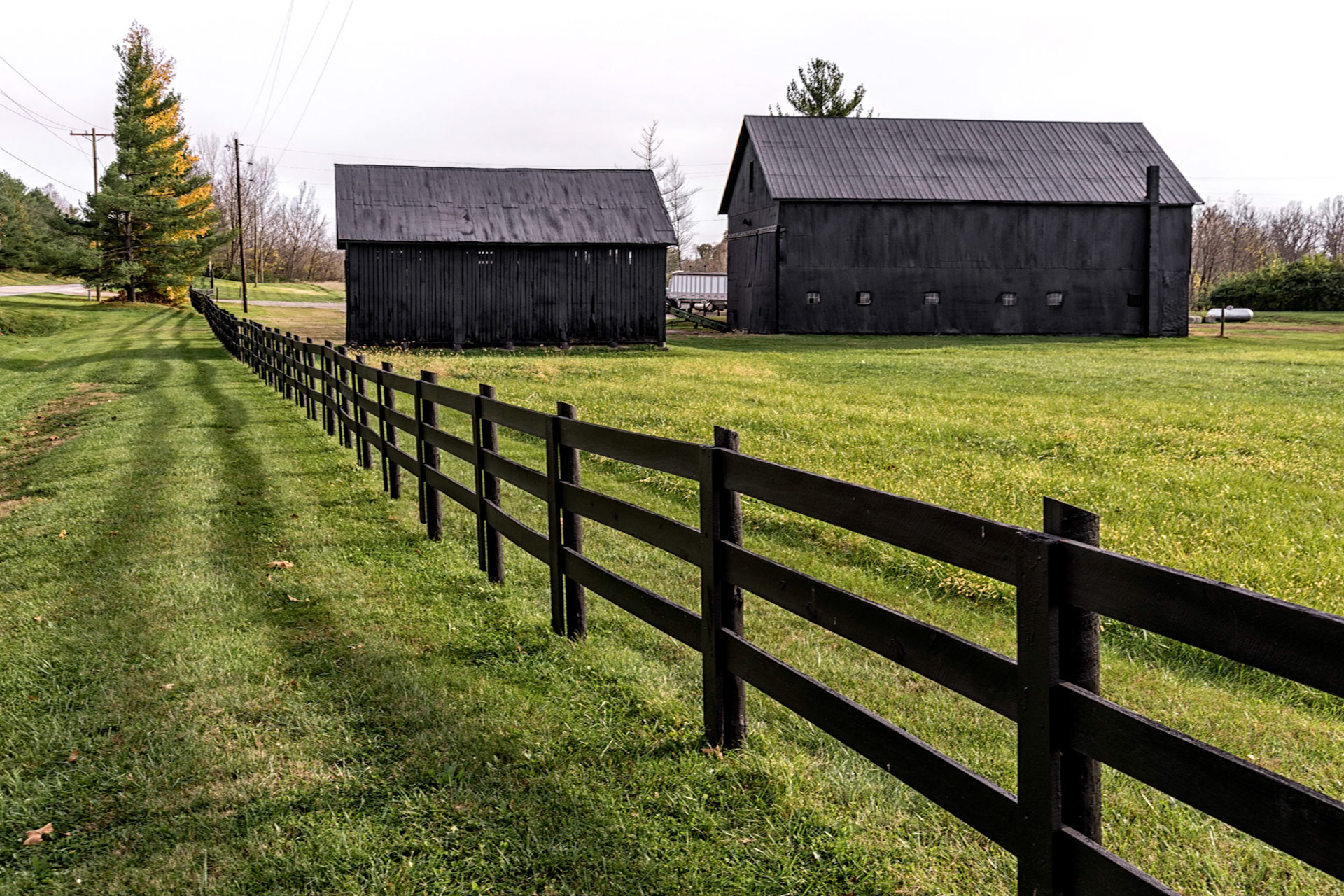 Belleview KY