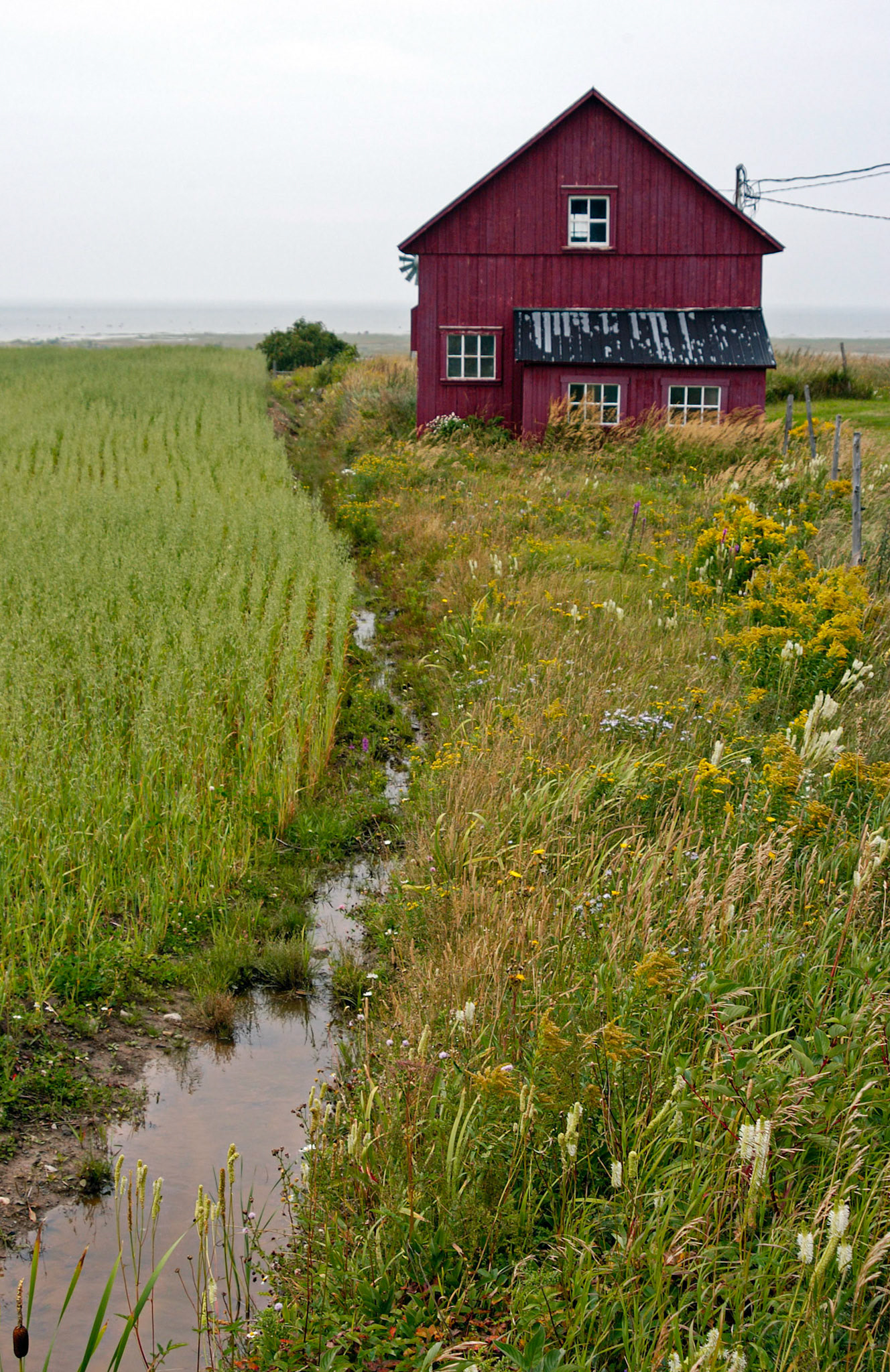 Quebec Province