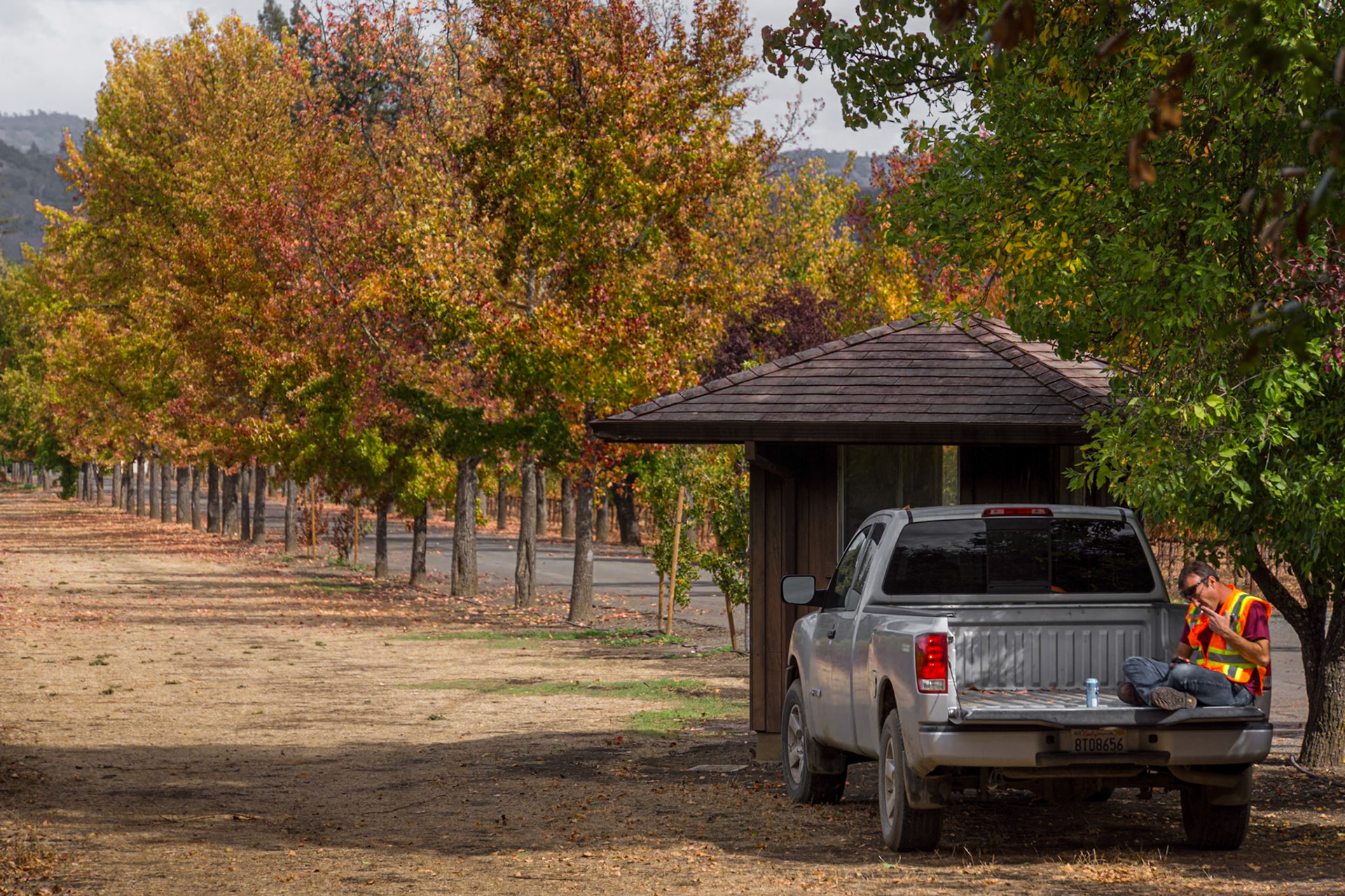 Napa Valley