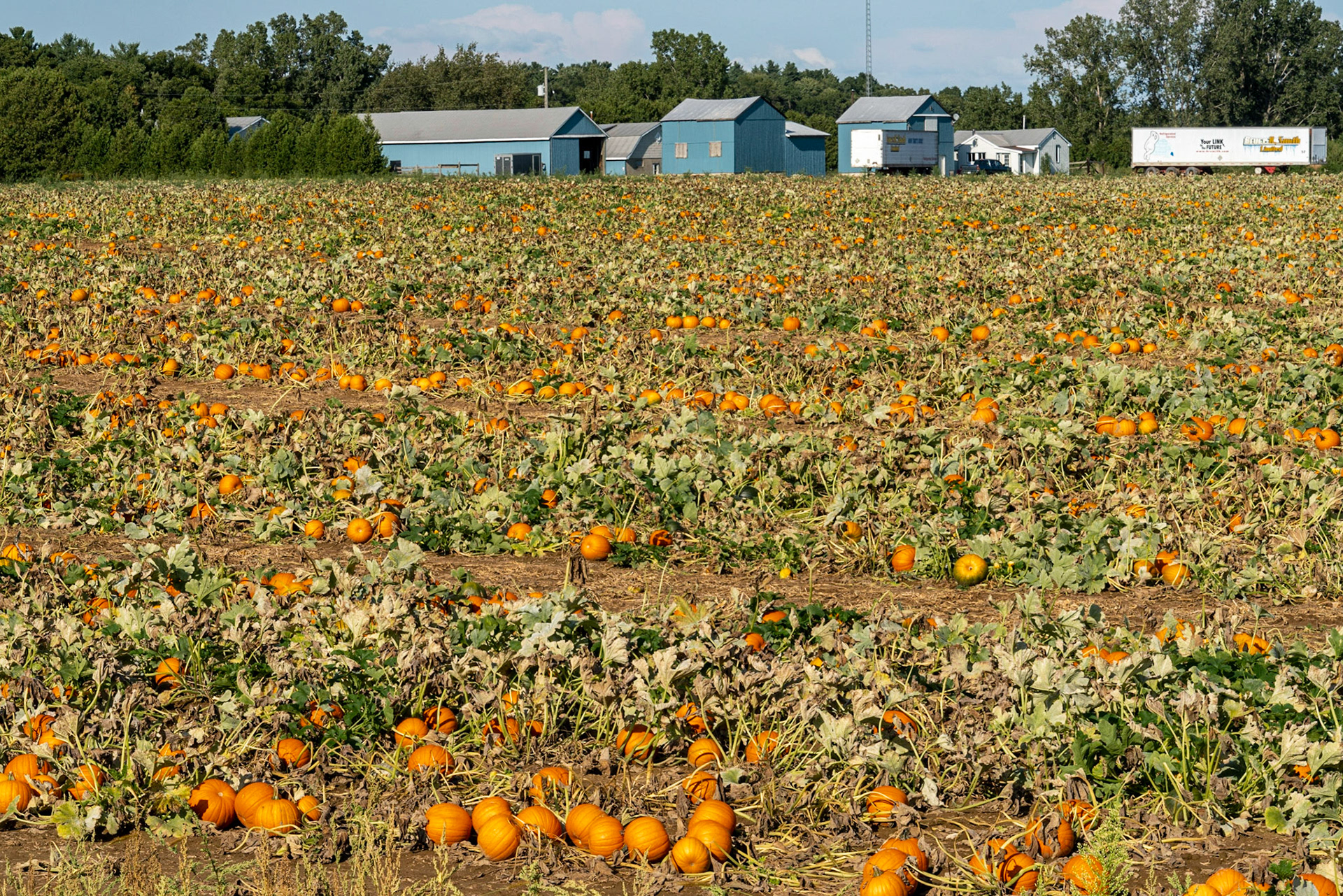 Port Reyerse, Ontario