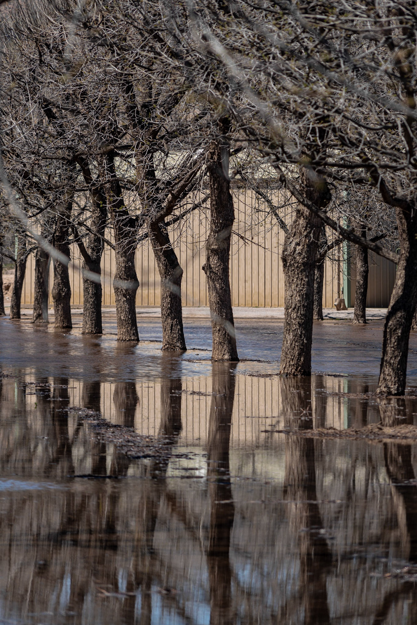 Las Cruces NM