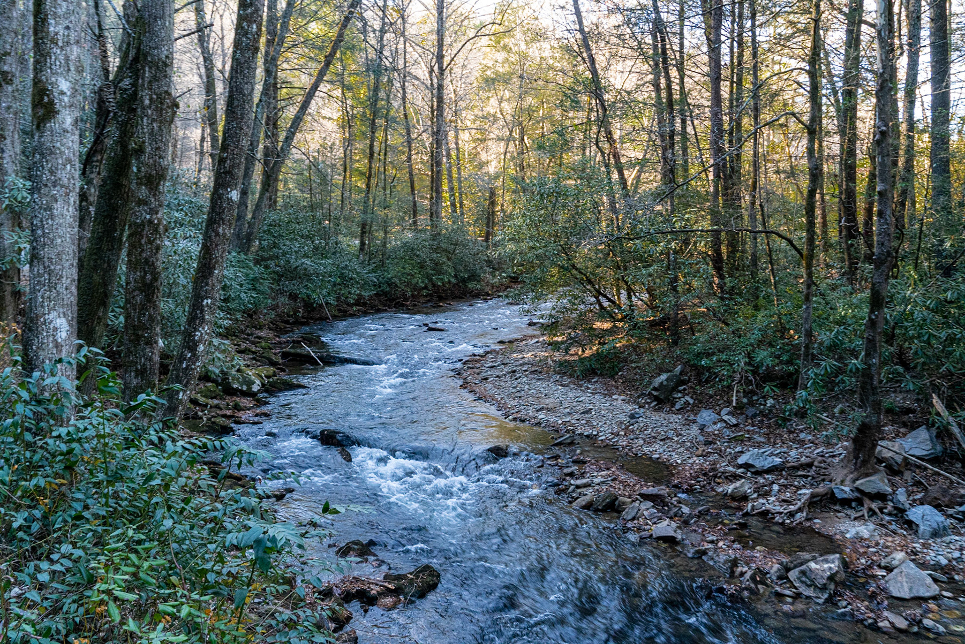 Helen GA