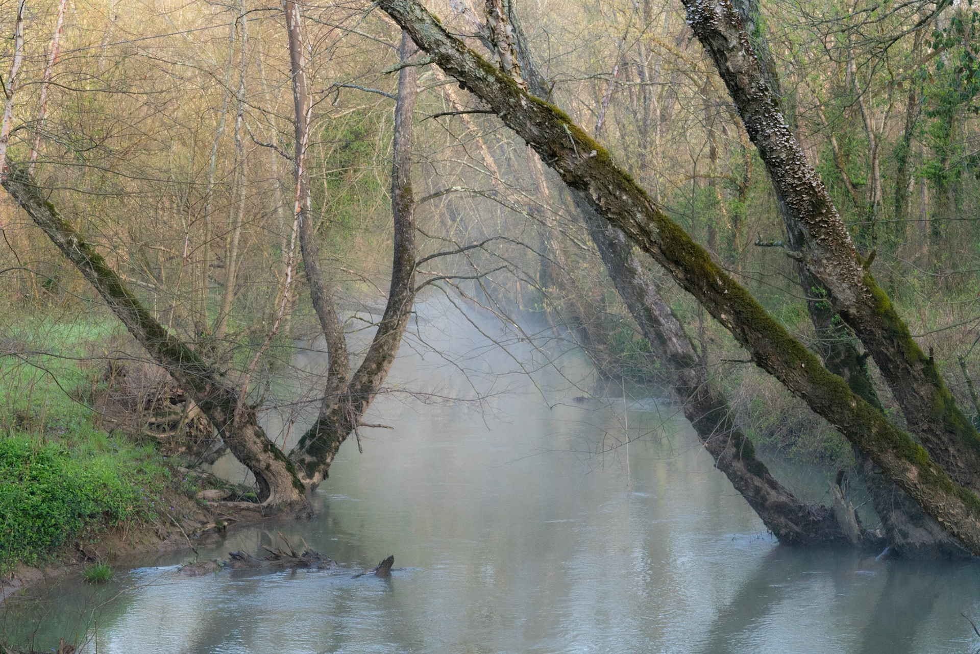 Long Hollow KY