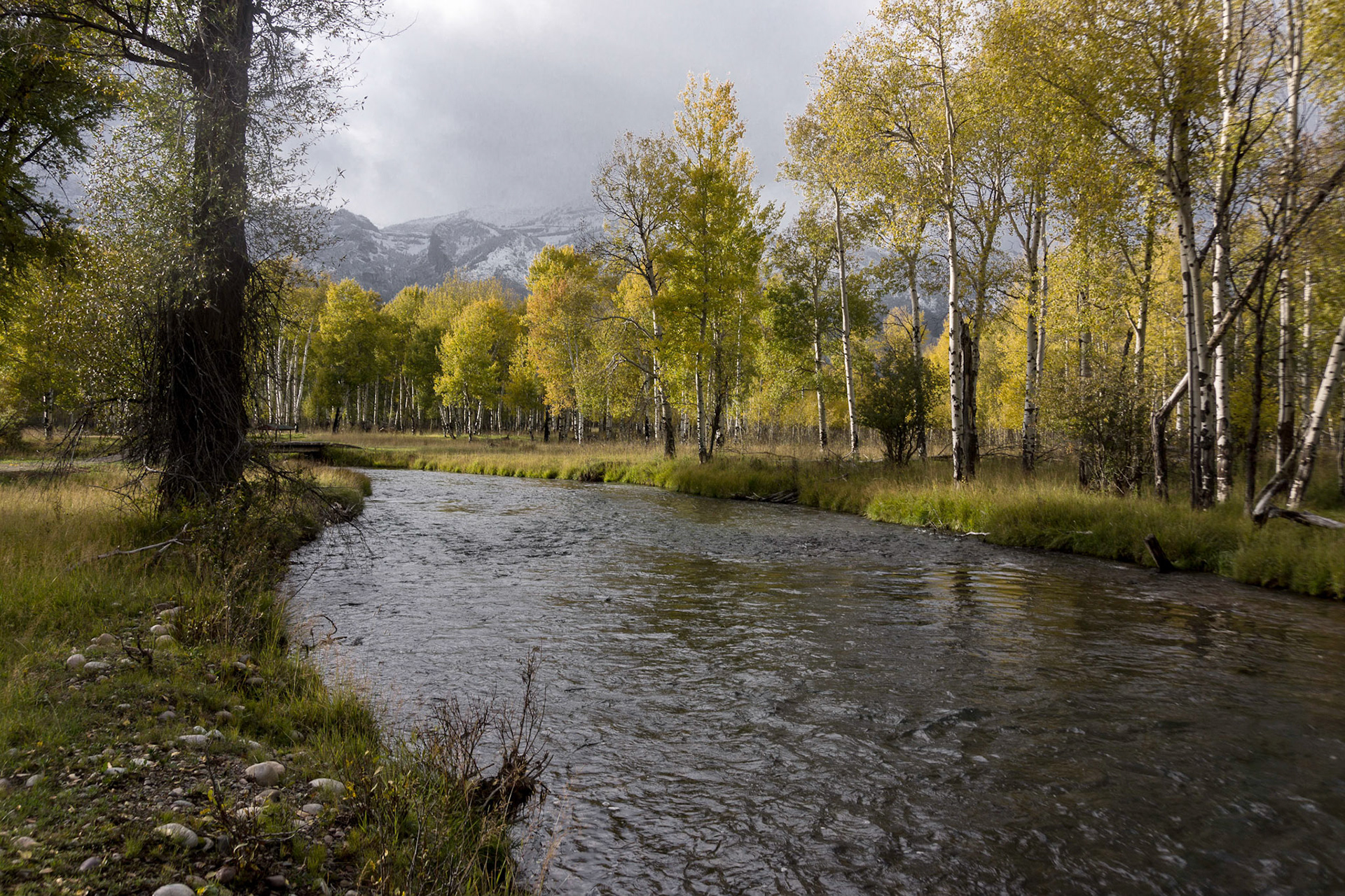 Jackson Hole WY