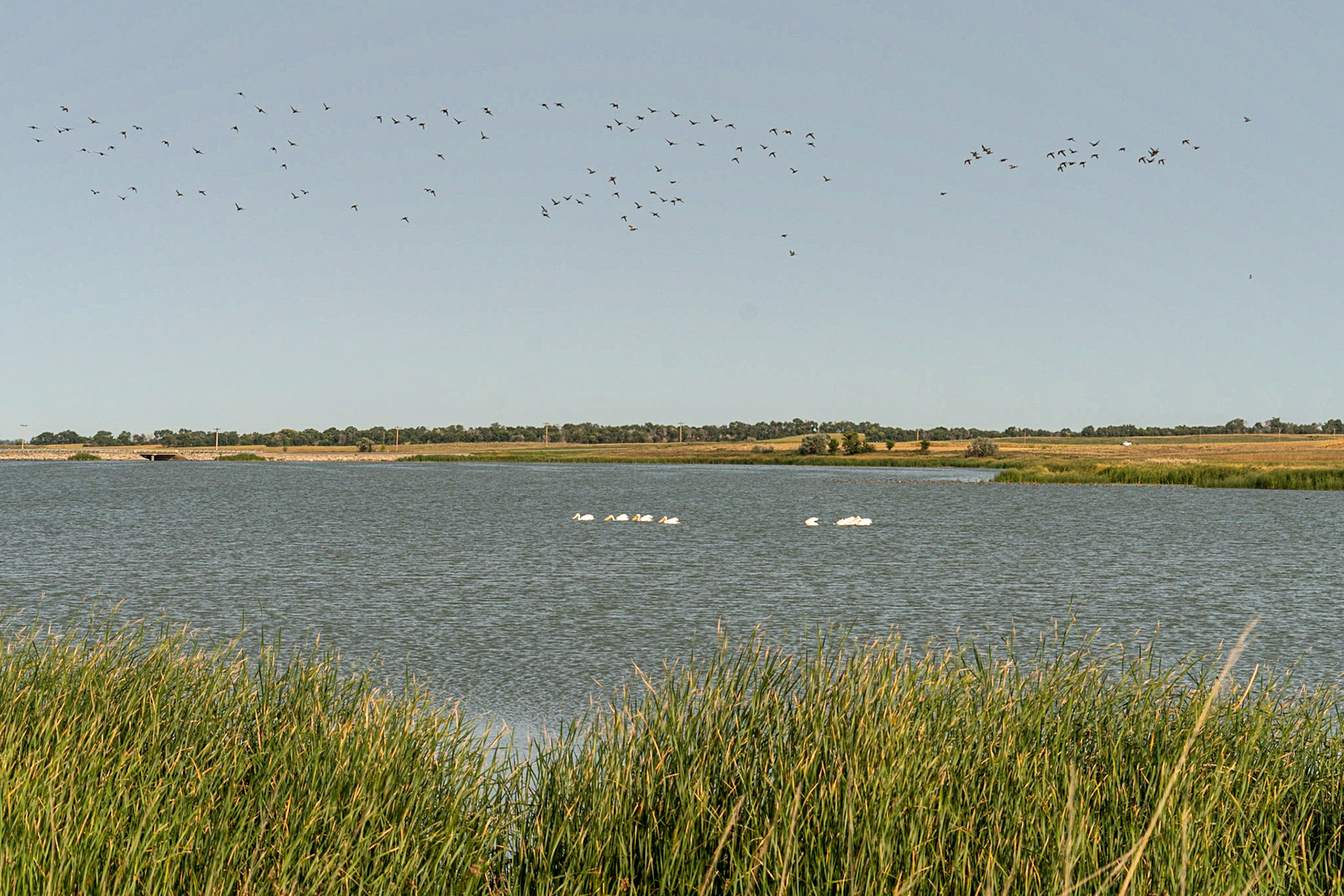 Moffit, ND