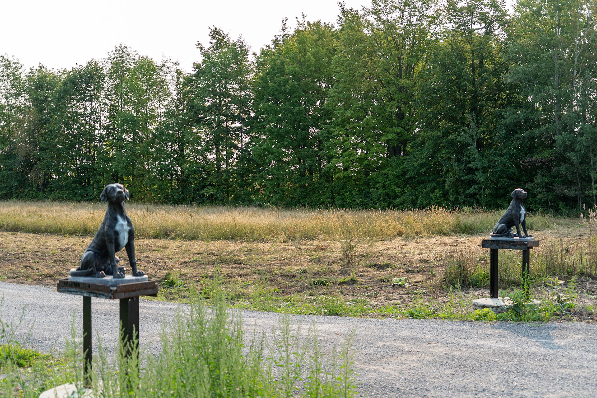Thompson Hill, Ontario