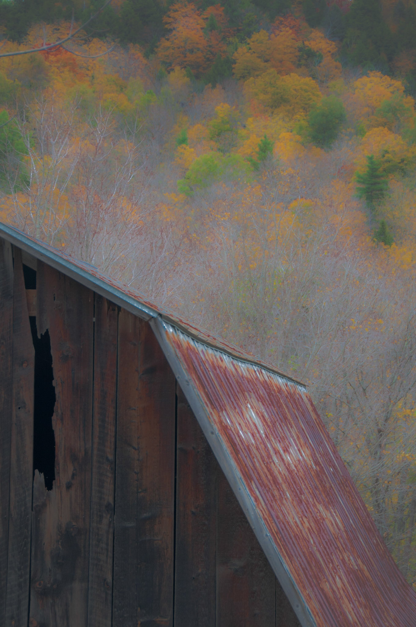 Vermont