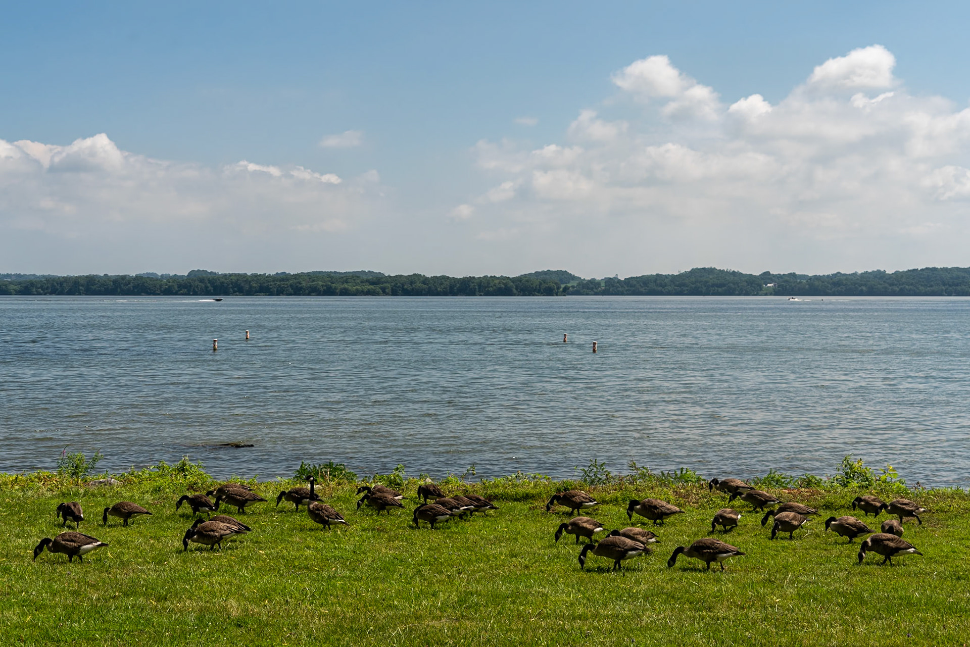 Wrightsville PA