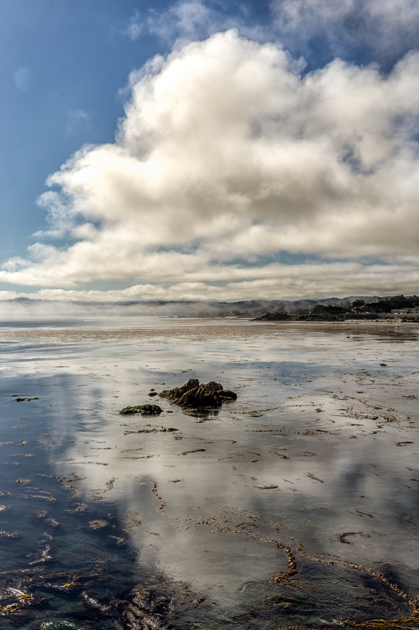 Pacific Grove