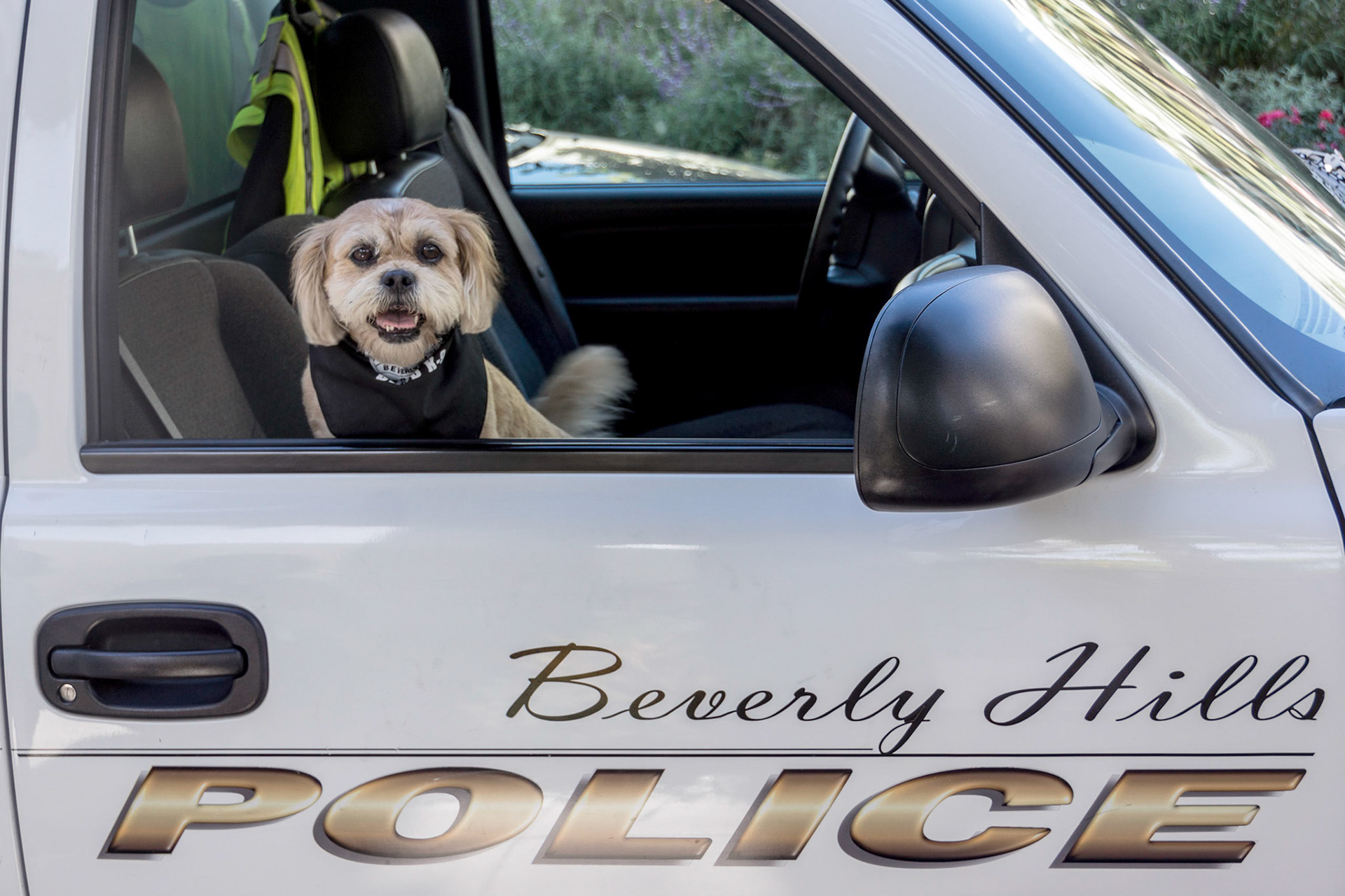Beverly Hills