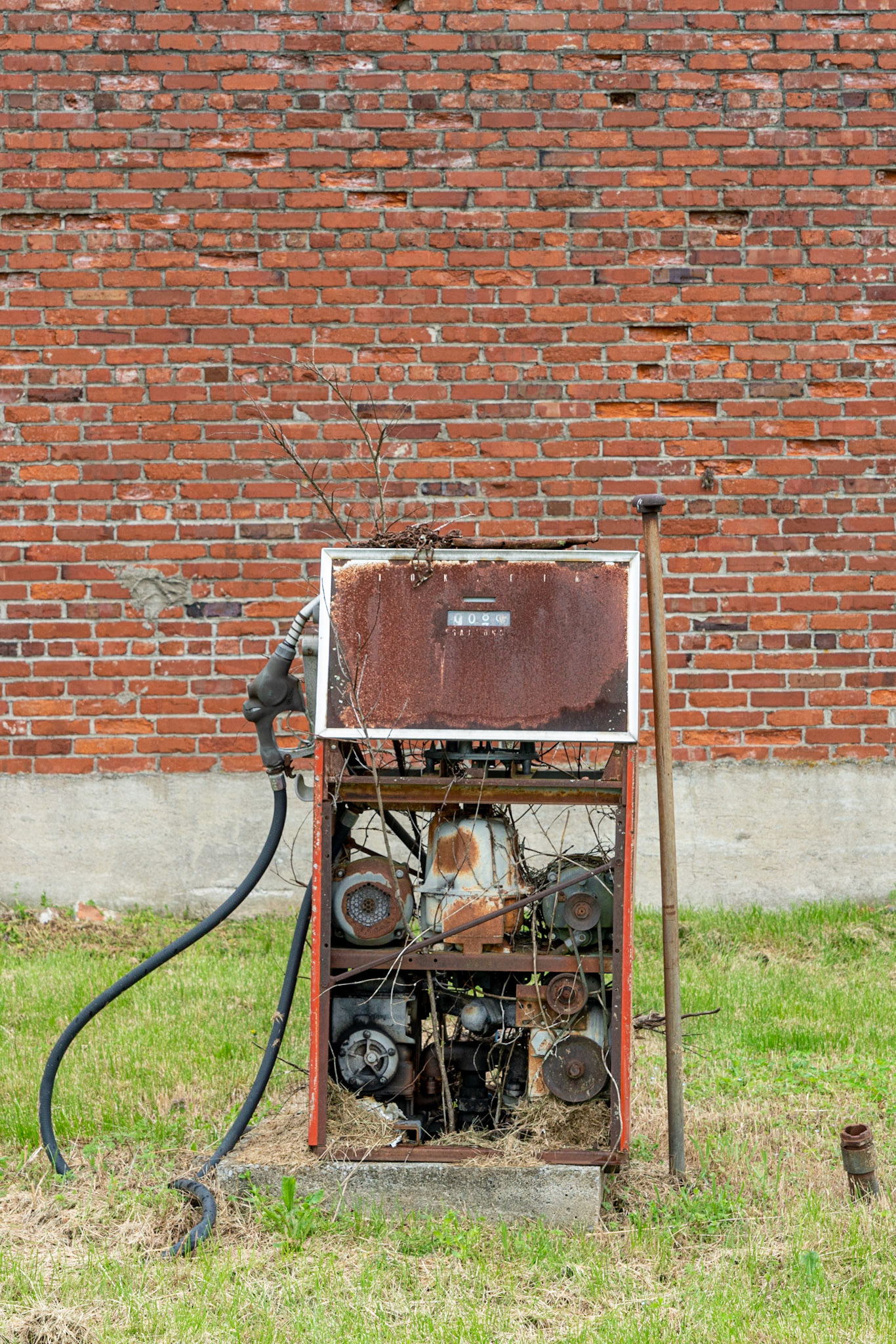 Dixon Springs TN