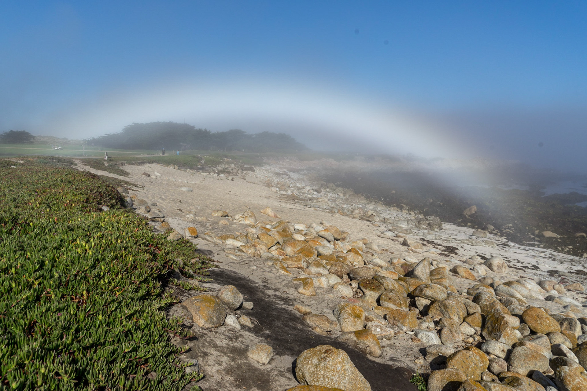 Pacific Grove