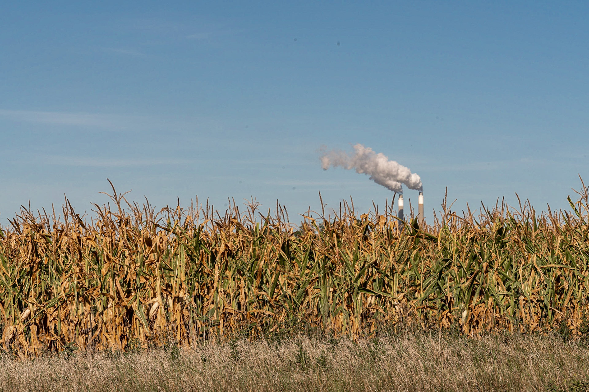 Falkirk, ND