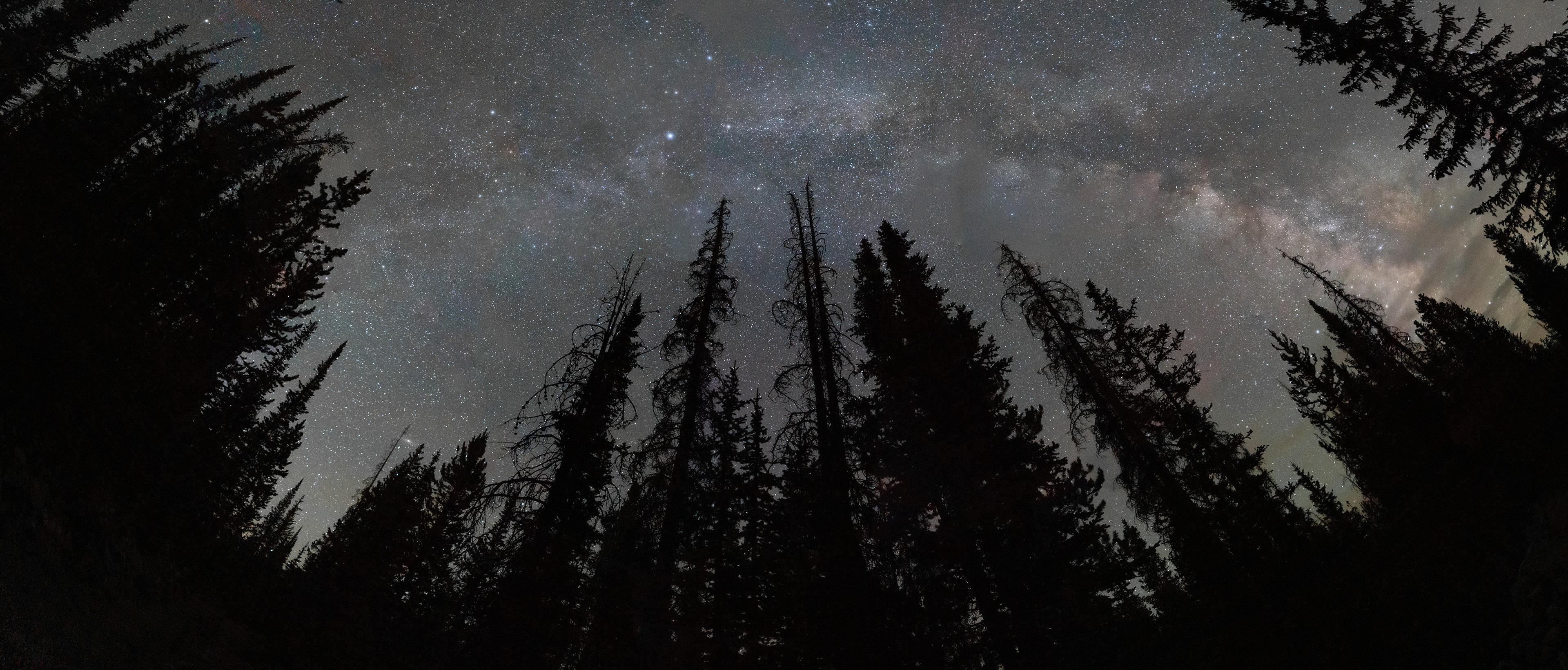 Milky Way in the High Uintas