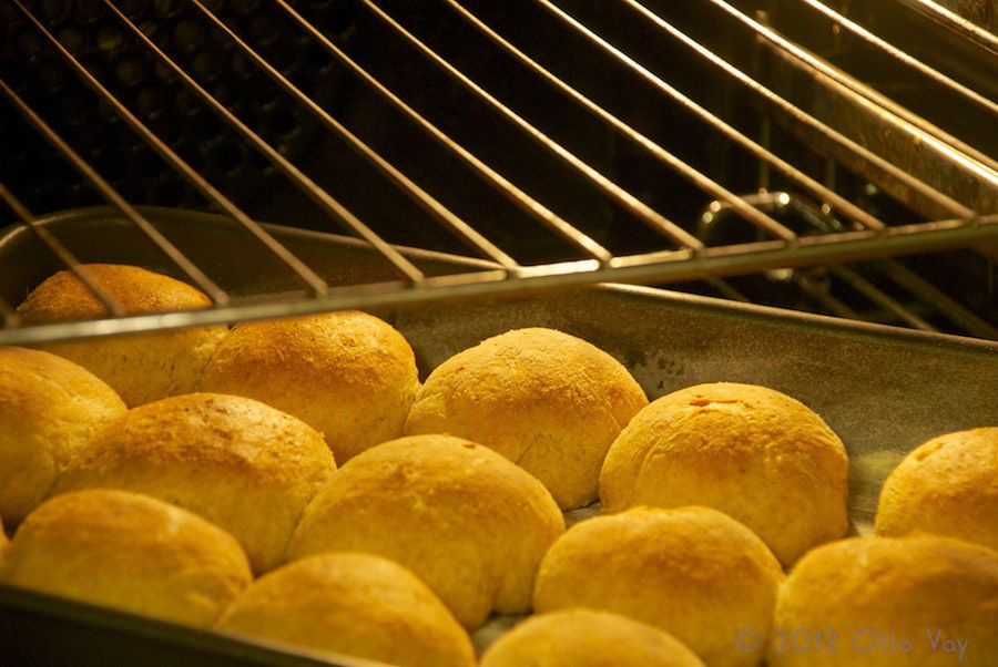 Foto para livro da nutricionista Ana Beatriz