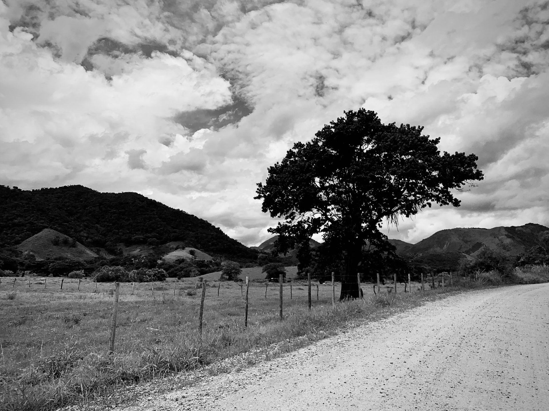 Paisagem rural