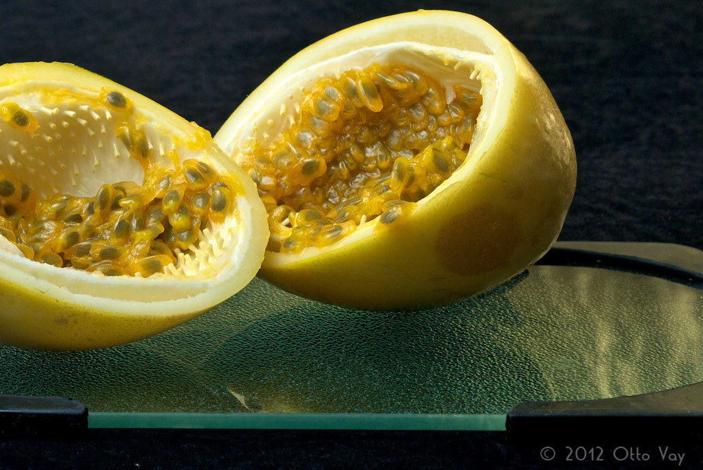 Maracuja | Passion Fruit (Passiflora edulis)