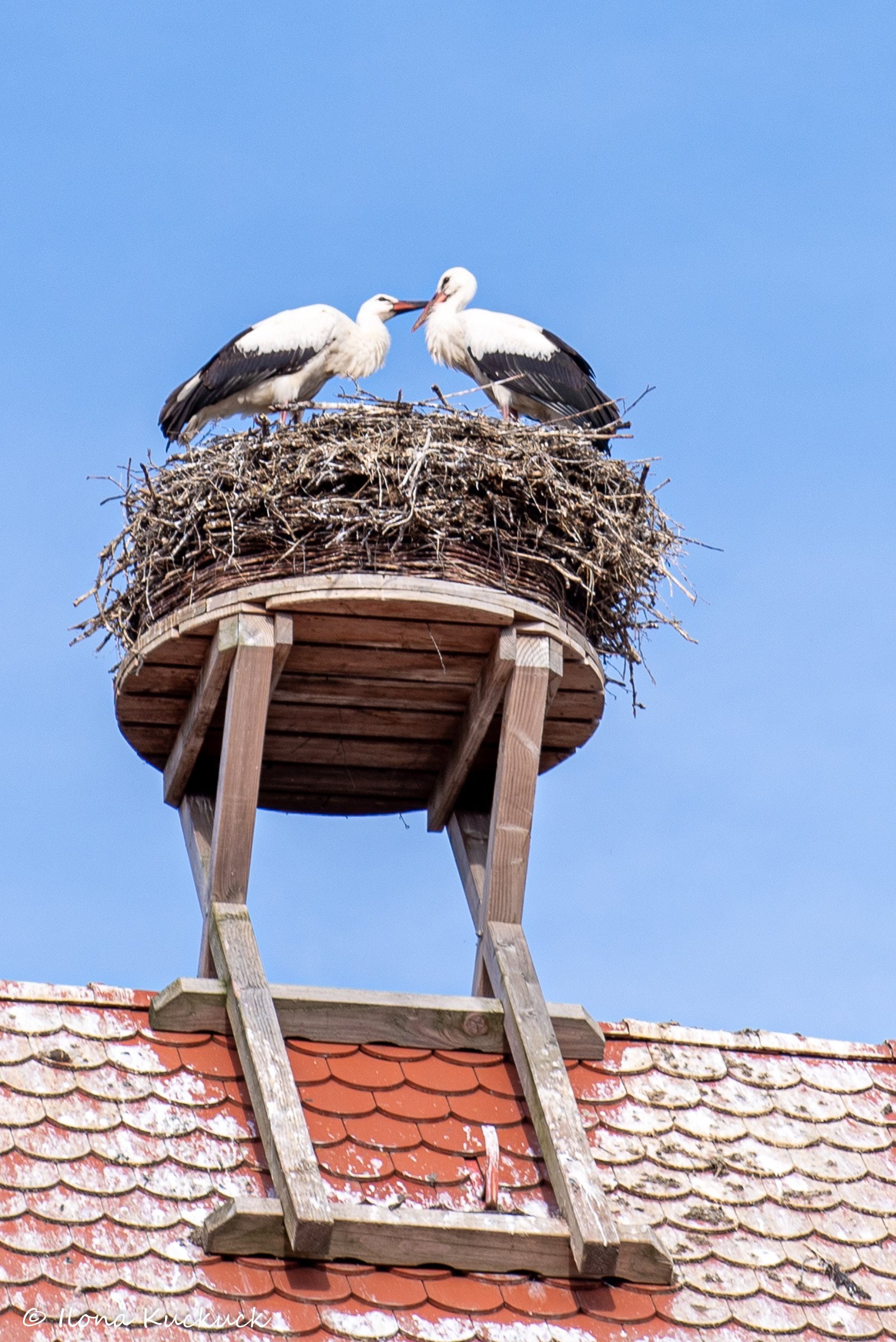 Futteraustausch
