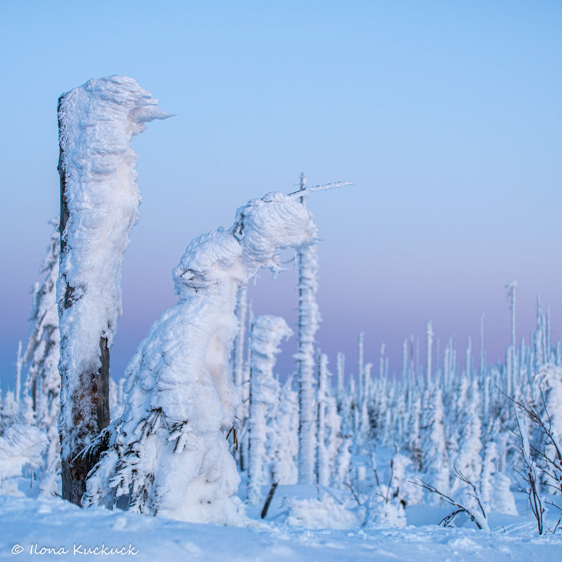 Schneemonster