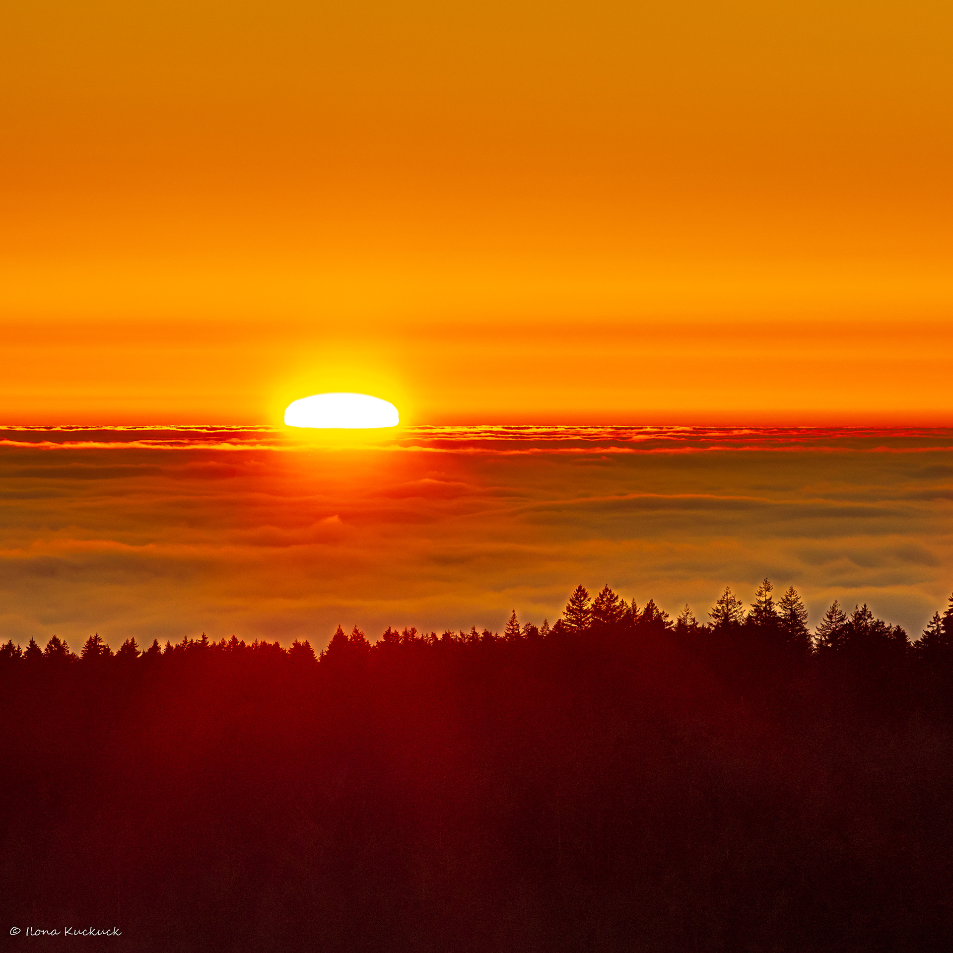 Sonnenuntergang über dem Nebelmeer