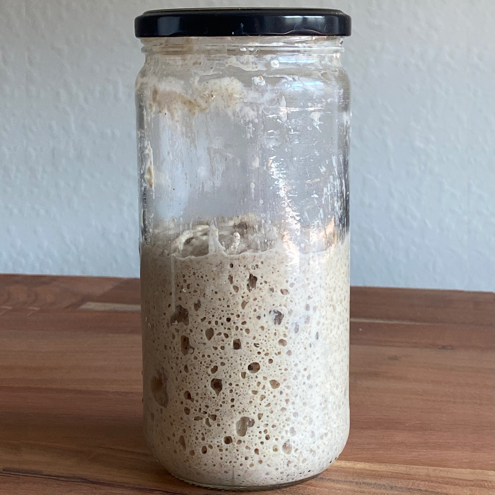 Sourdough Starter