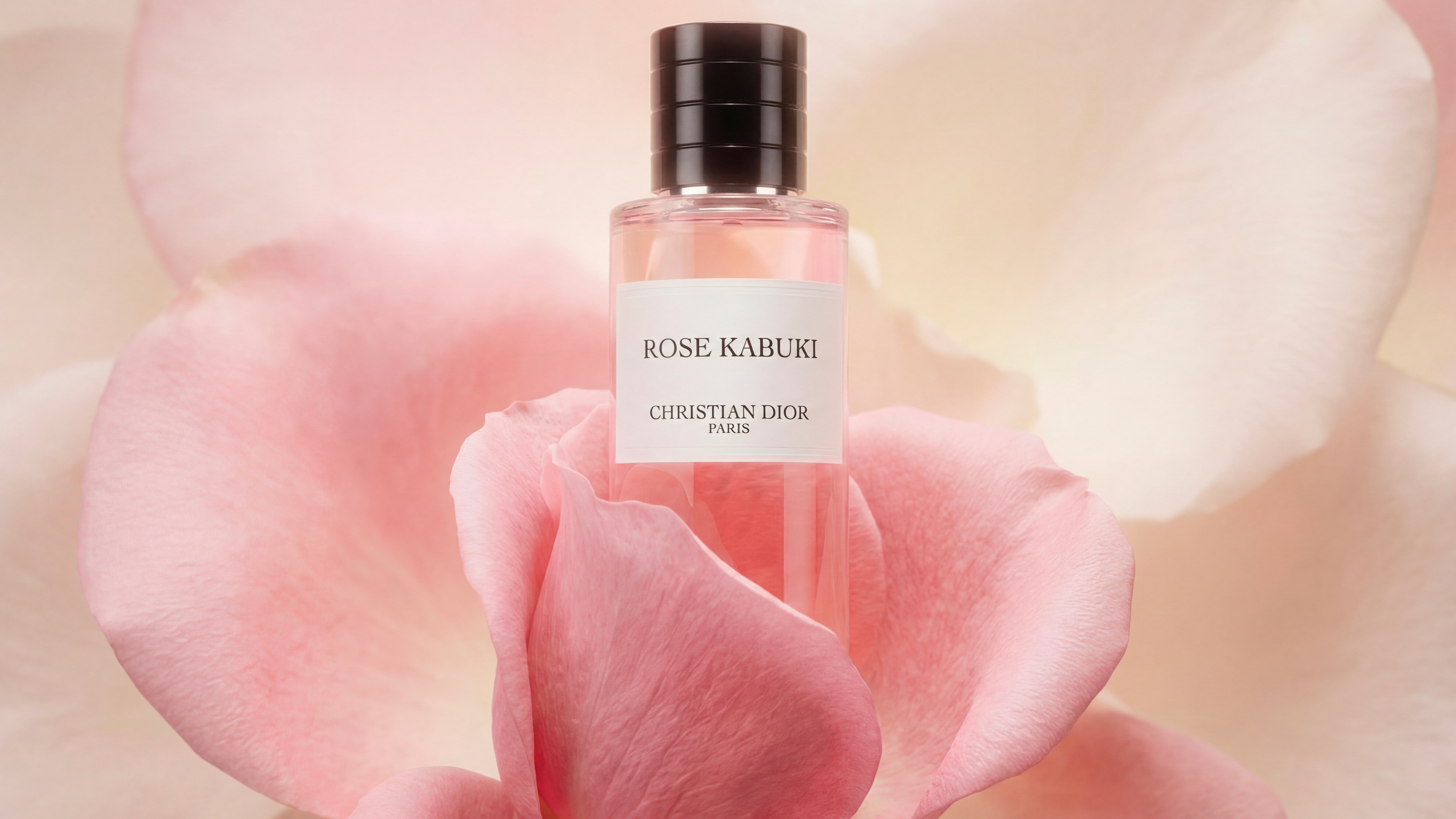 PETAL-FLOWER-DIOR-DHENNE-LOUISMARIE-ROSE-KABUKI