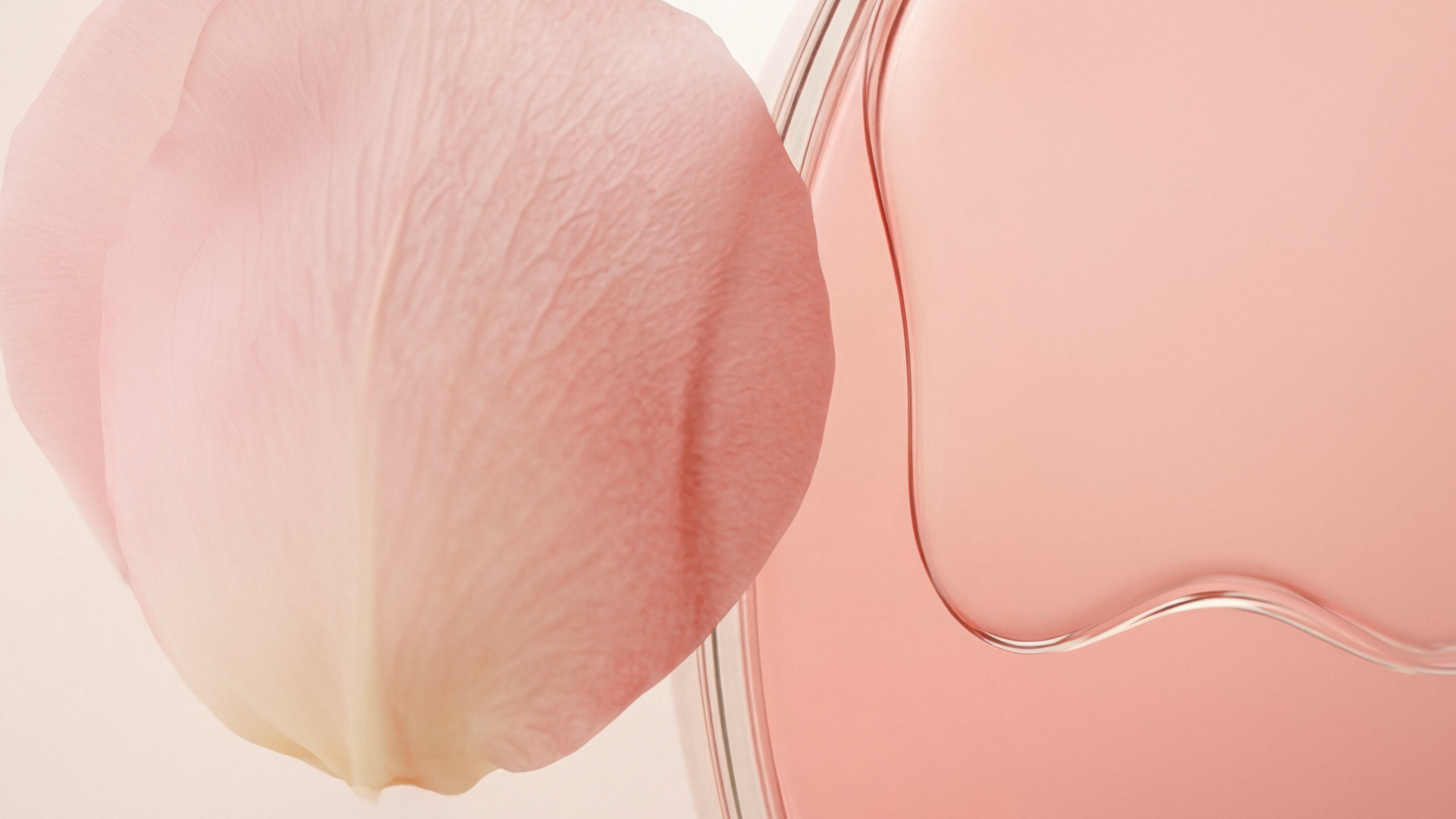 MACRO-ROSE-FLOWER-DIOR-DHENNE-LOUISMARIE-PETAL-KABUKI