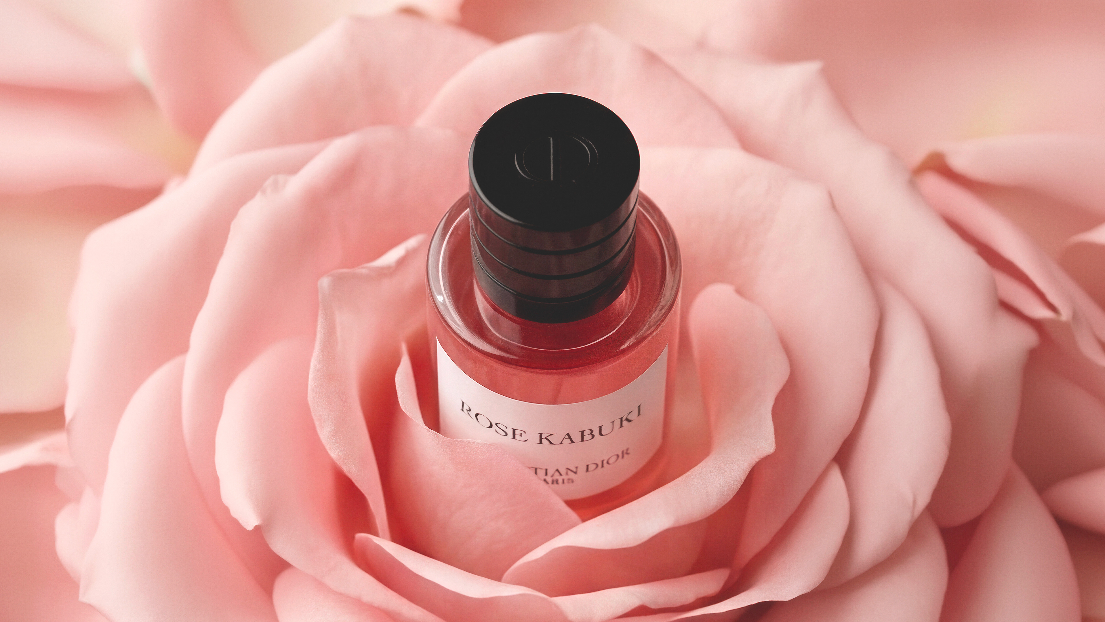 Parfum Rose Kabuki de Christian Dior niché au cœur d'une rose poudrée — direction artistique IA Louis-Marie Dhenne