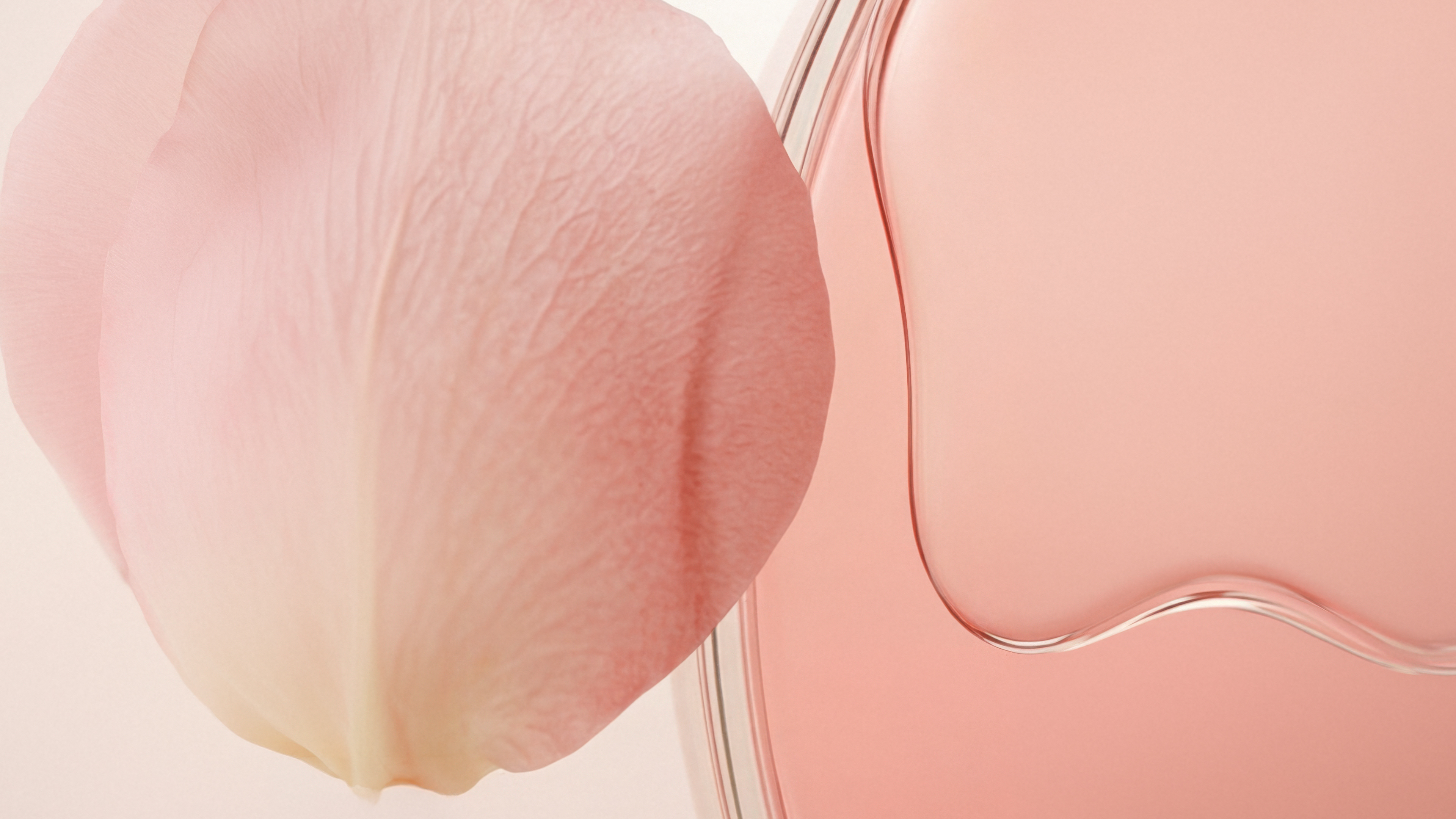Macro d'un pétale de rose pâle aux nervures fines contre un verre courbe rempli d'un jus rose