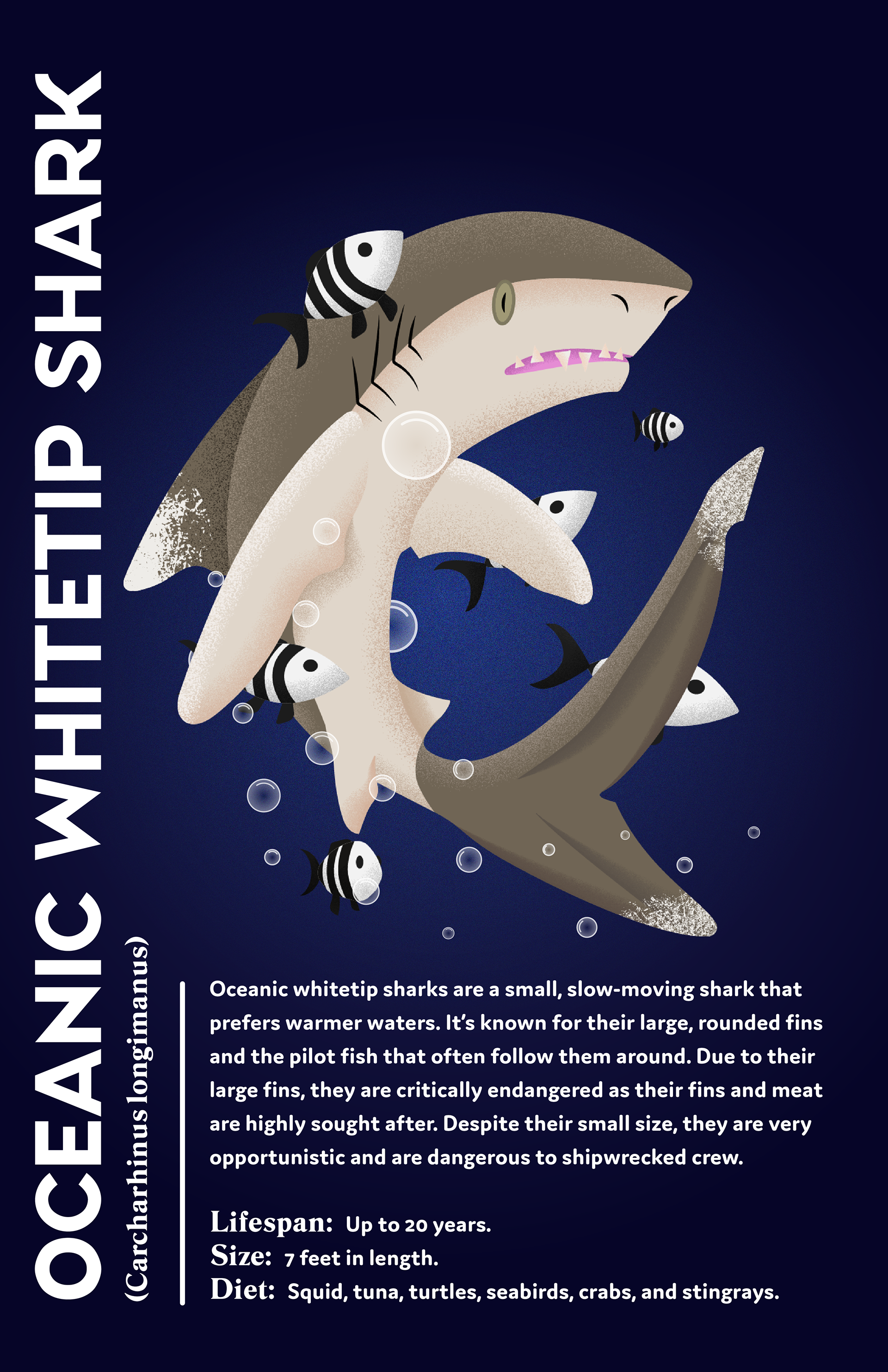 The Oceanic whitetip design is my favorite illustration due to the shark's posing and the addition of the fish. 