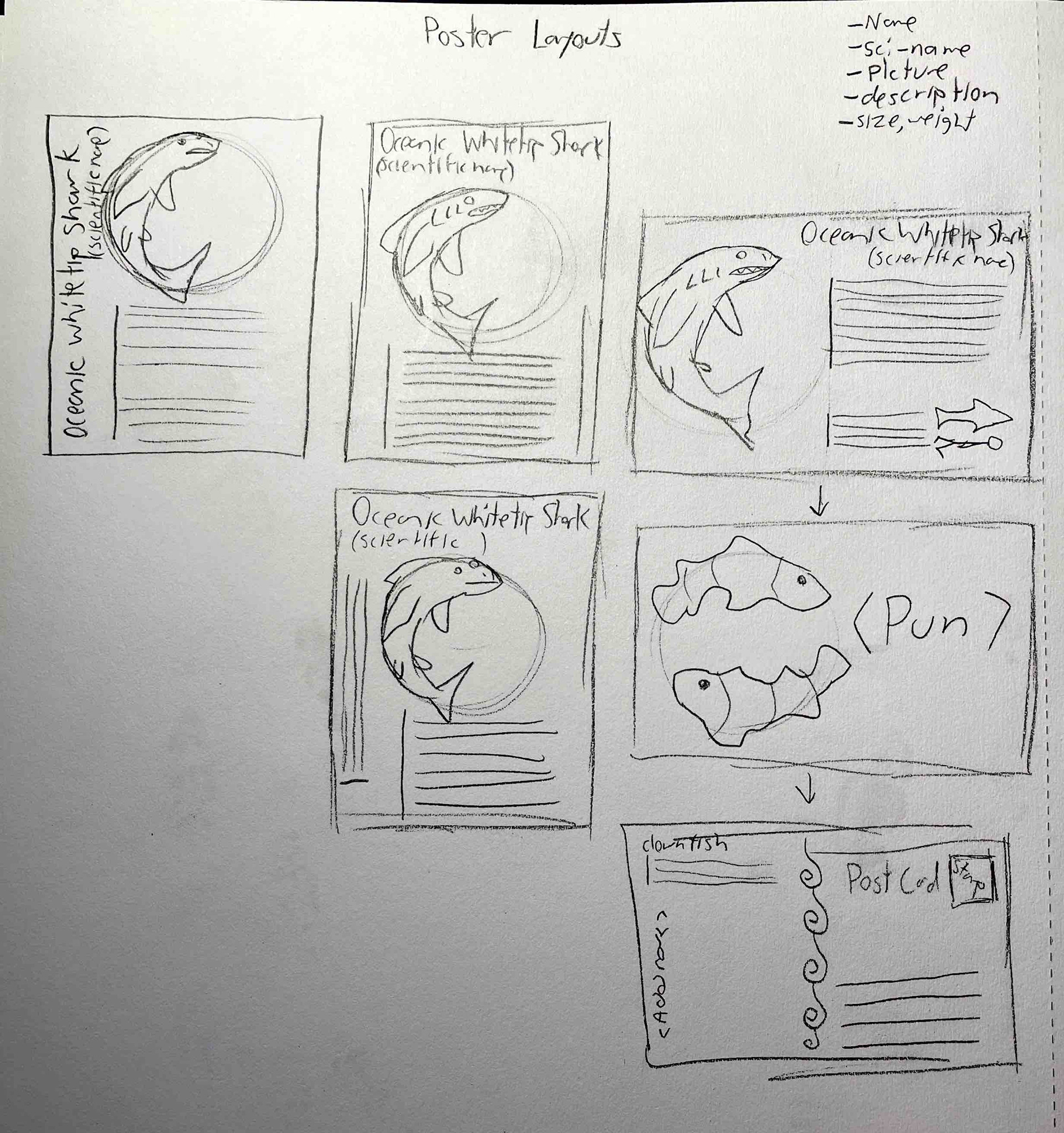 Poster and postcard layouts.