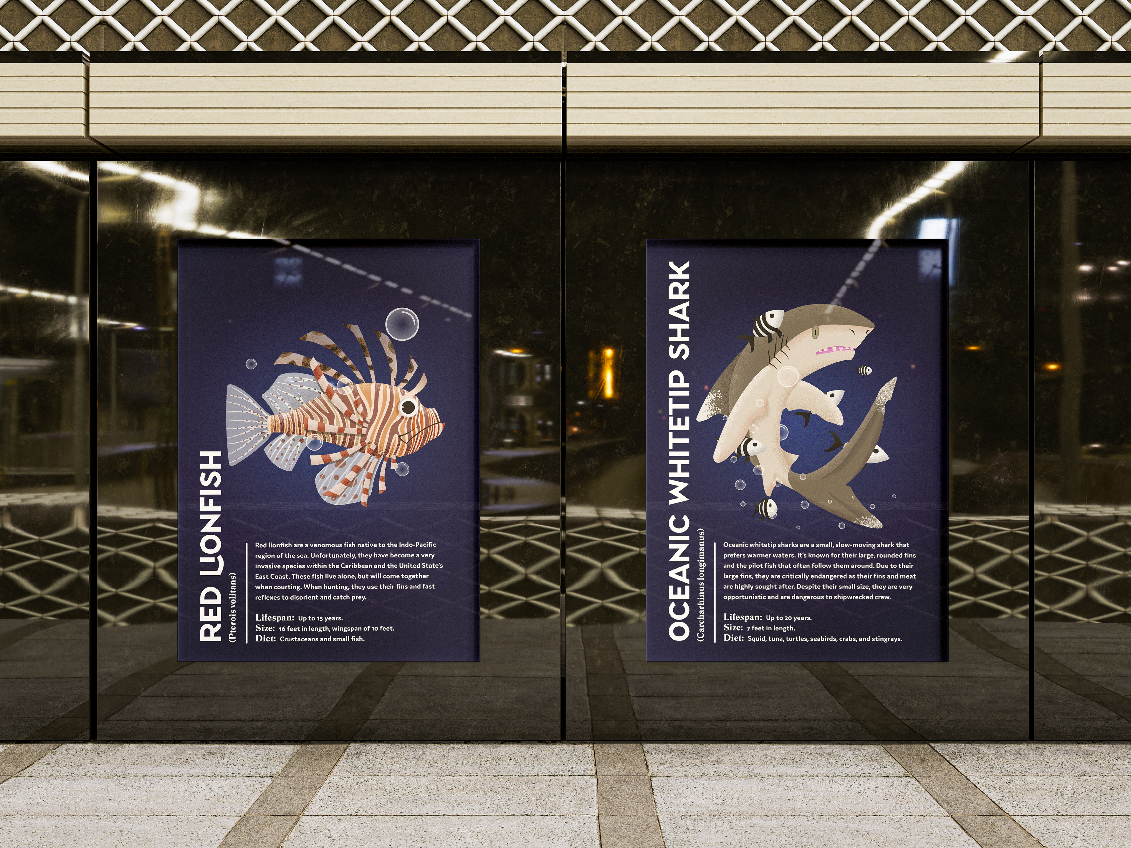 Aquarium Posters of the Red lionfish and Oceanic whitetip.