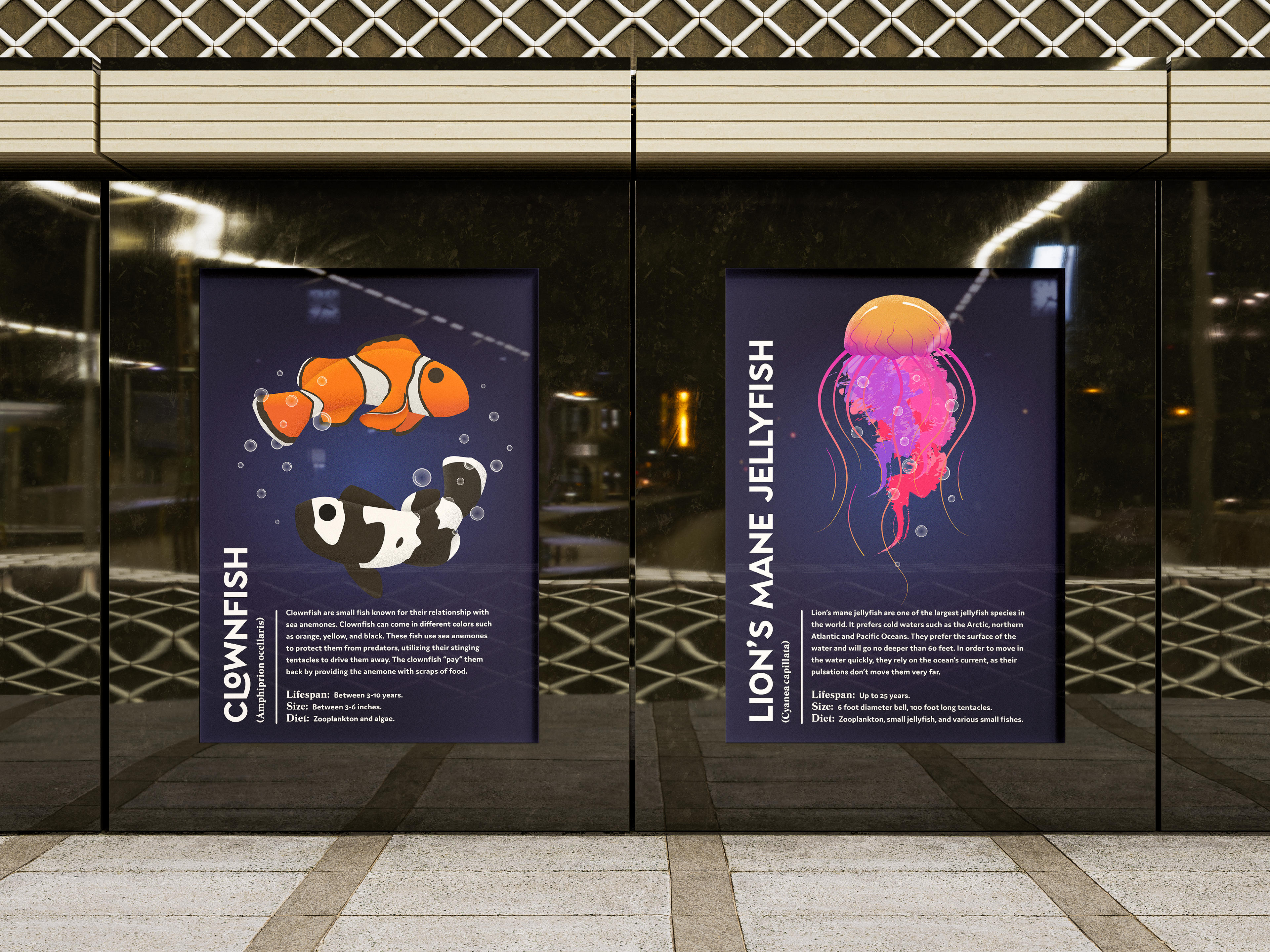 Aquarium Posters of the Clownfish and Jellyfish.