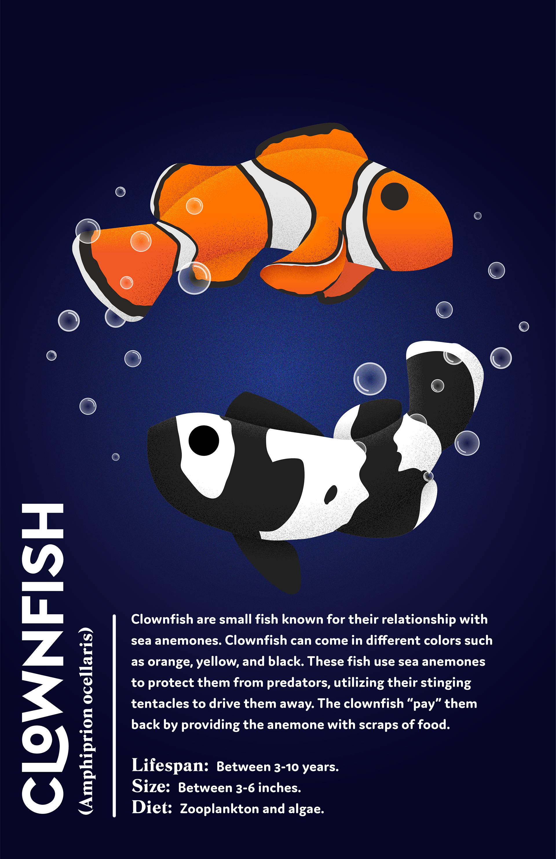 I wanted to add a yin and yang theme to this one due to the black and white variation of the clownfish.