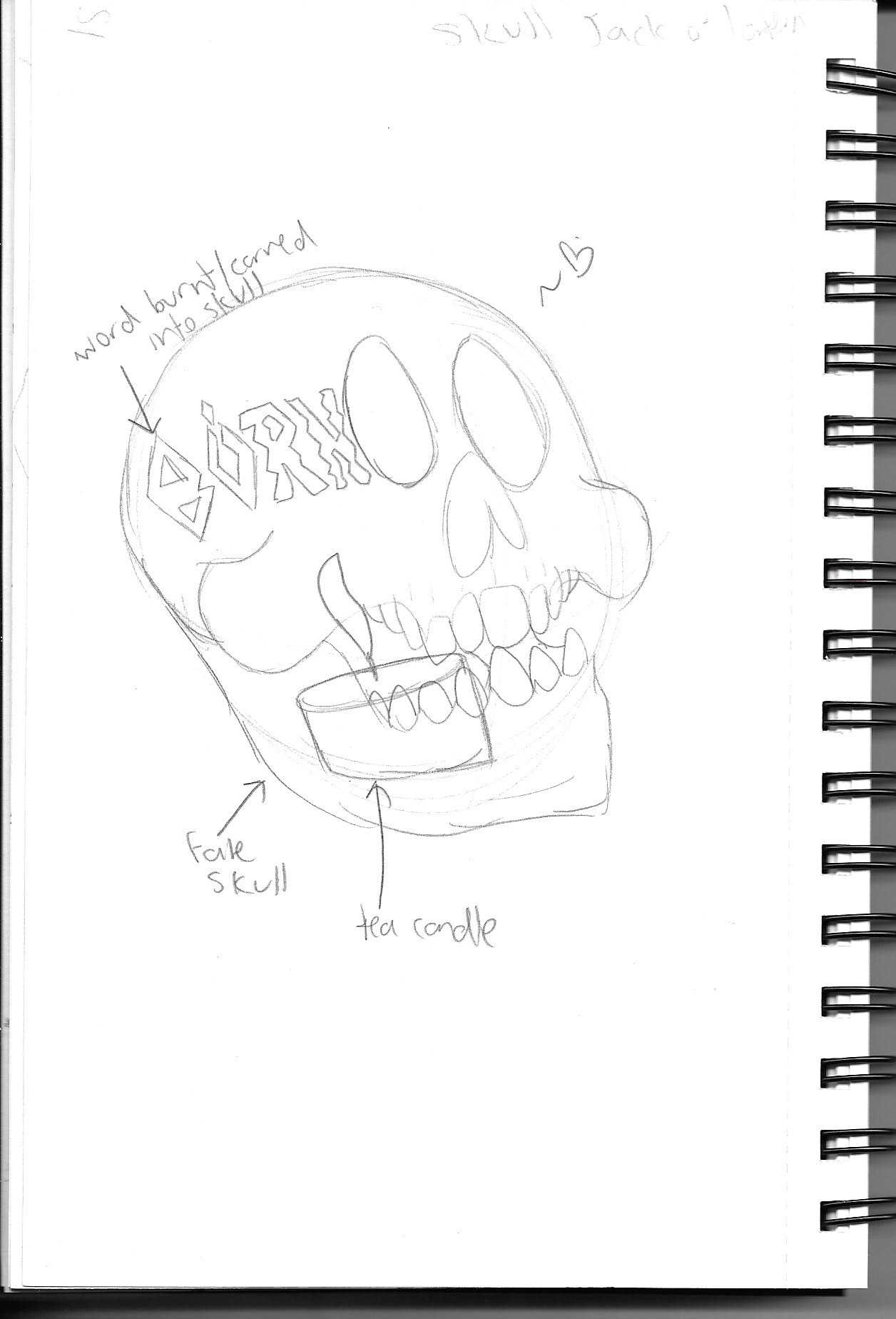 Skull