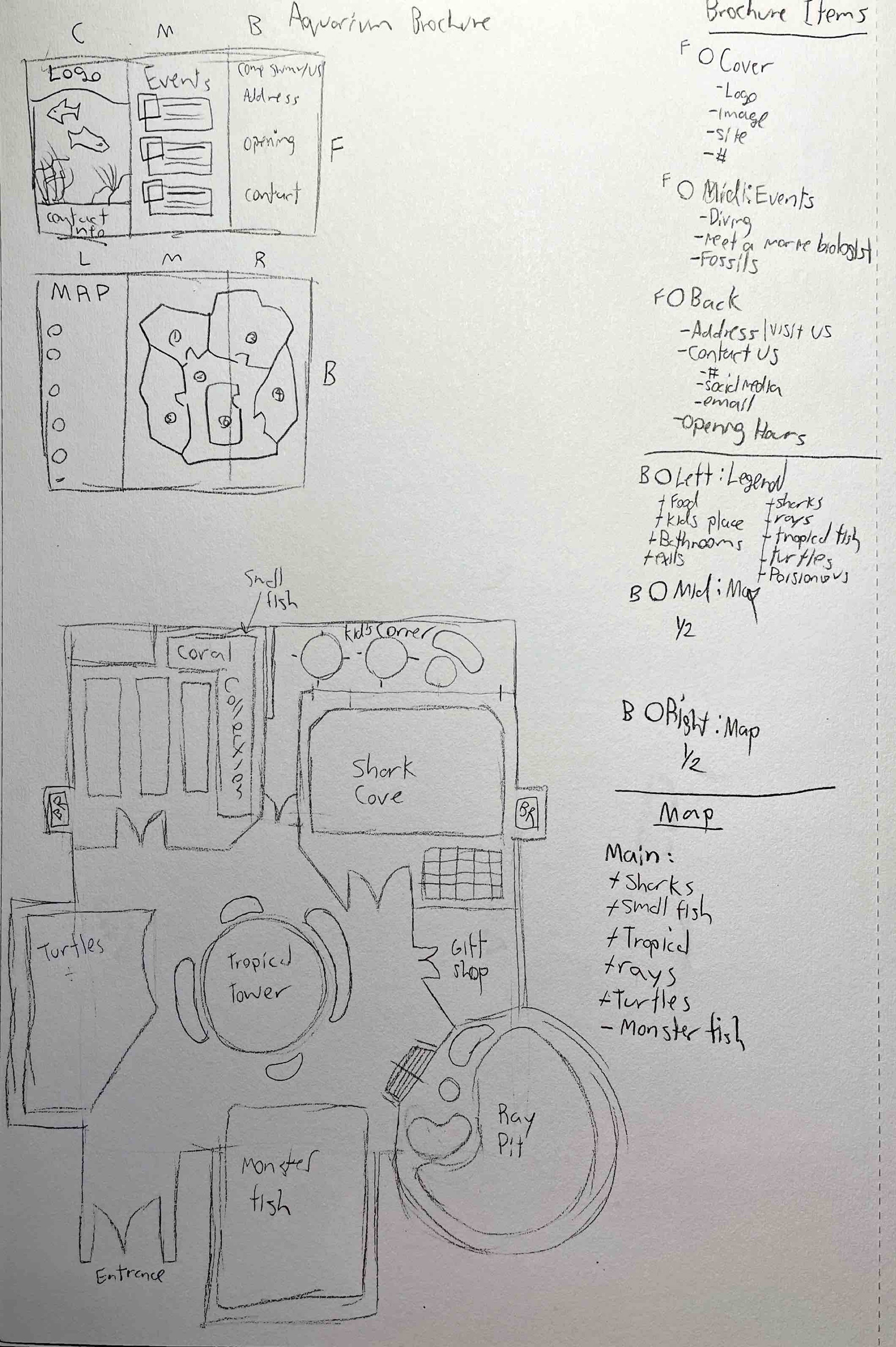 Layout and design of the brochure and aquarium floor plan.