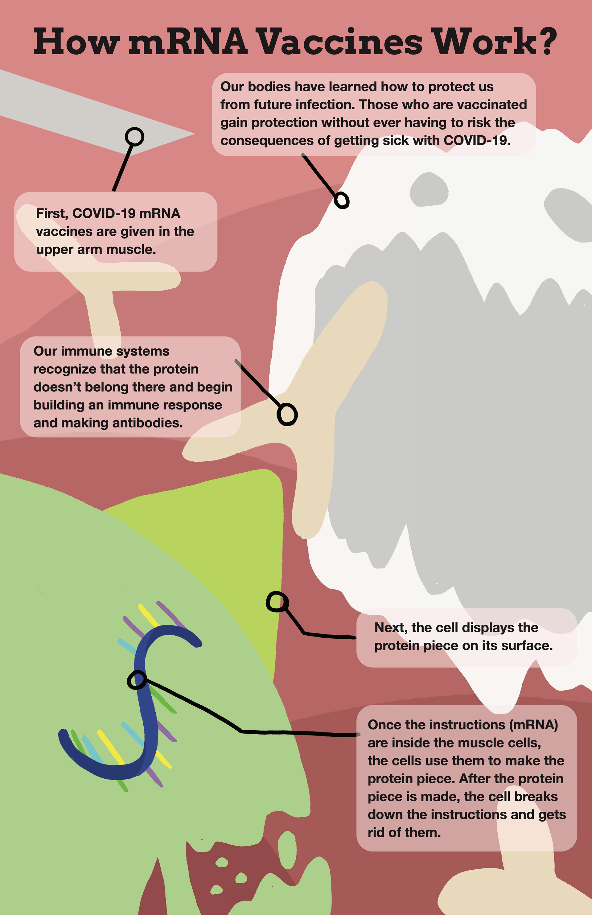 This one was the second in line behind the final design. It follows more of a traditional infographic. 