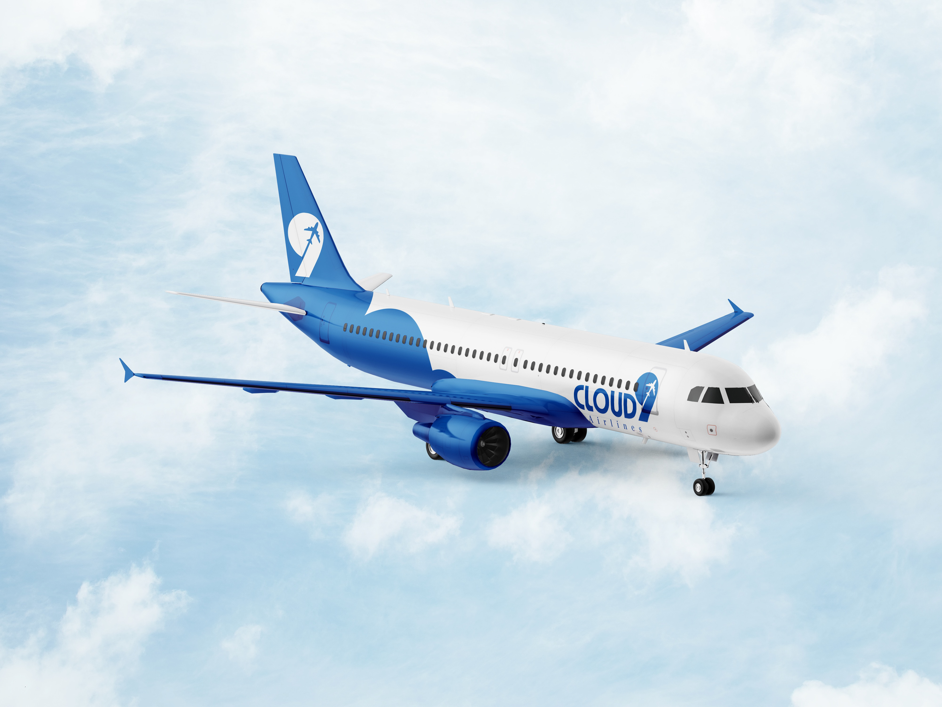 Plane paint-job mockup (angled).
