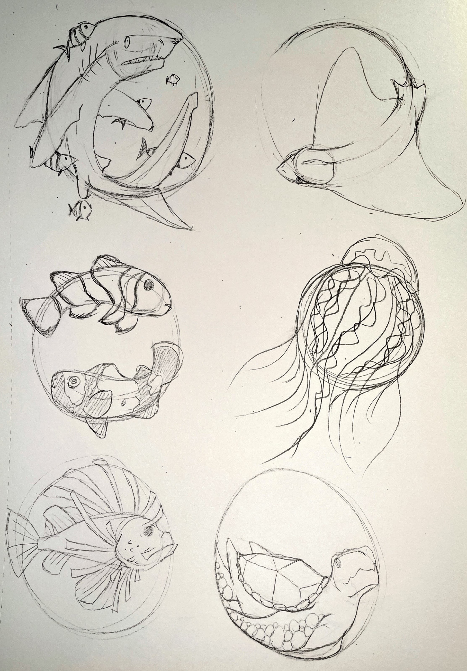 Sketches used to design the main aquarium animals.