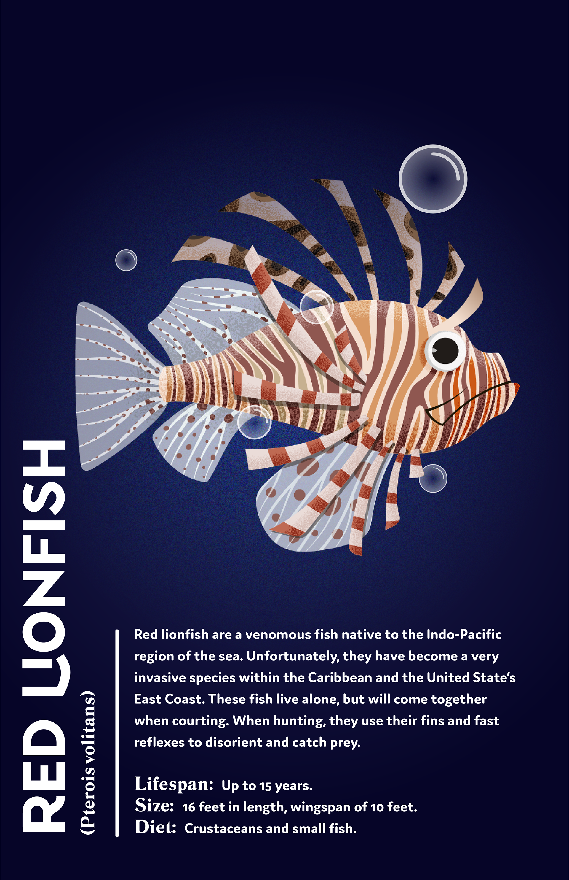 The lionfish was the hardest one to design due to the amount of patterns and colors that adorn the fish.