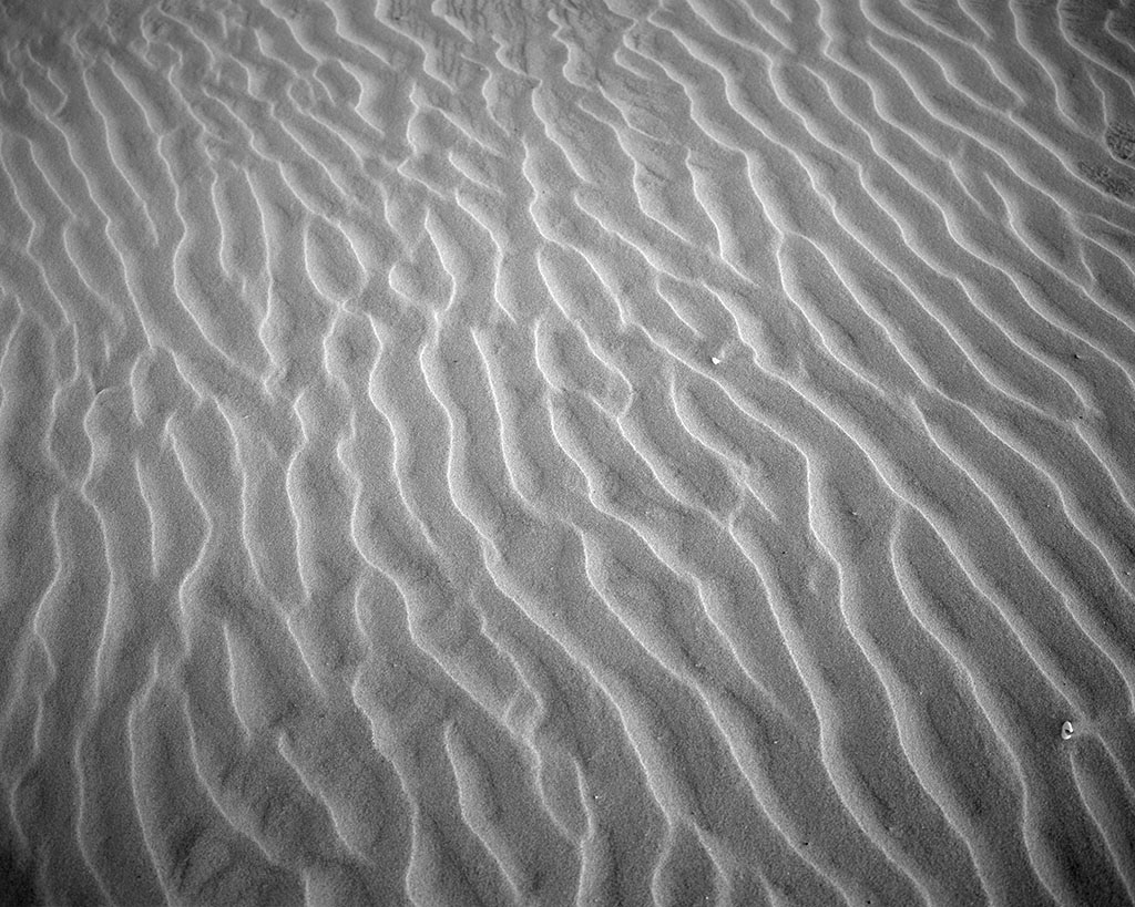 Emily J. Gómez, Wind and Rhythm #9, 2016