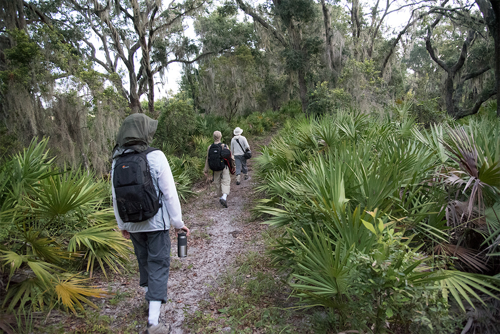 Roller Coaster Trail