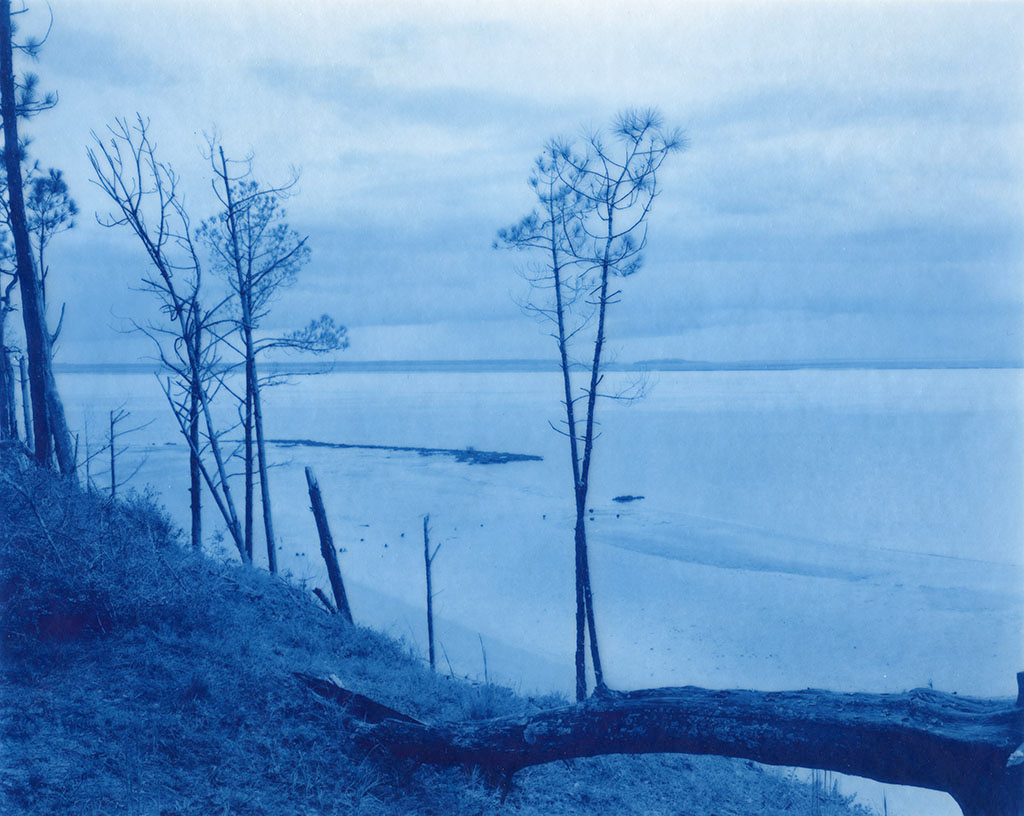 Emily J. Gómez, Road to Dungeness Ferry Dock, 2019, New Cyanotype on Wyndstone Vellum, 14x16"