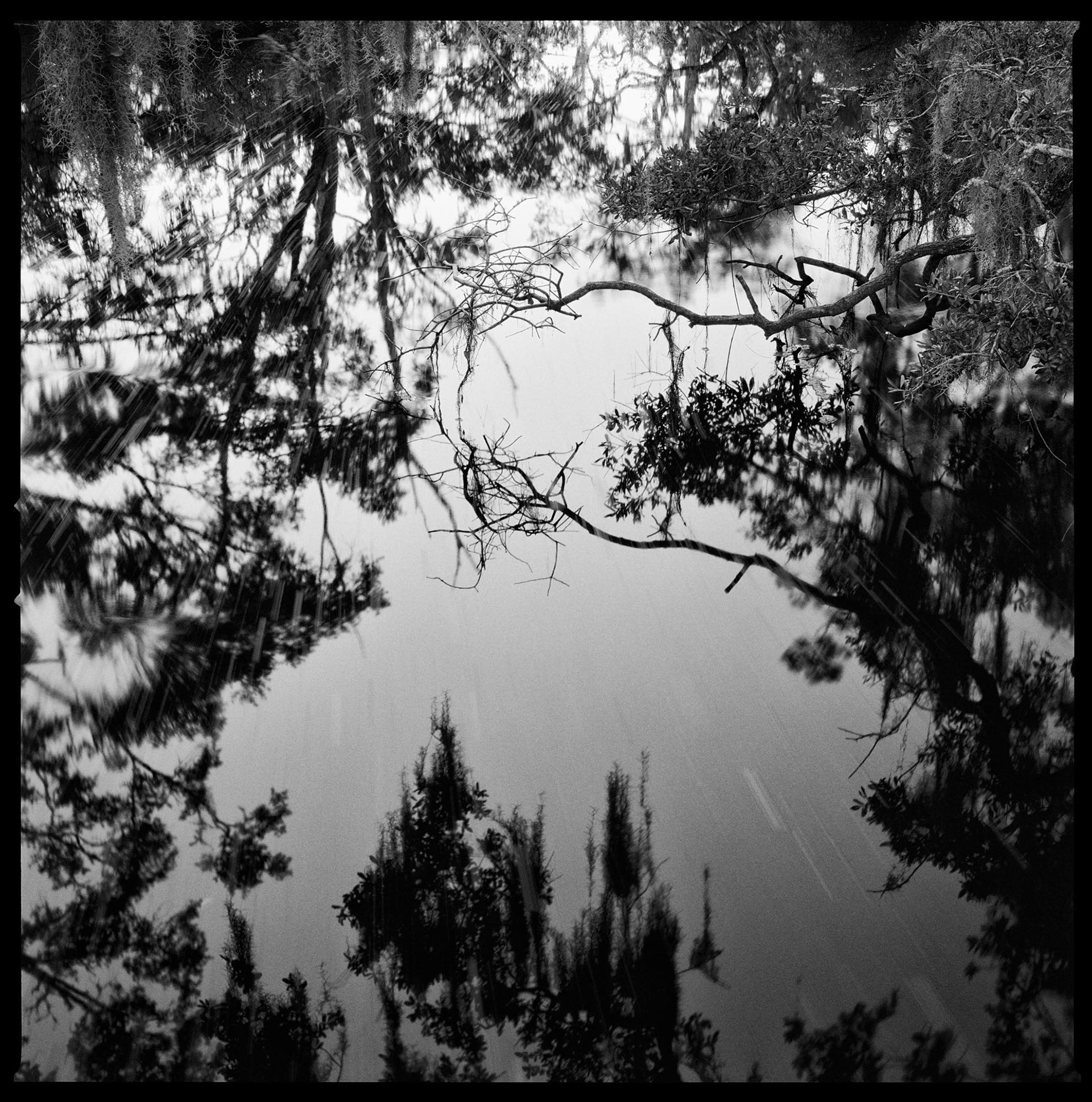 Christa Bowden, White Bridge Swamp Field Drain Creek, 2018