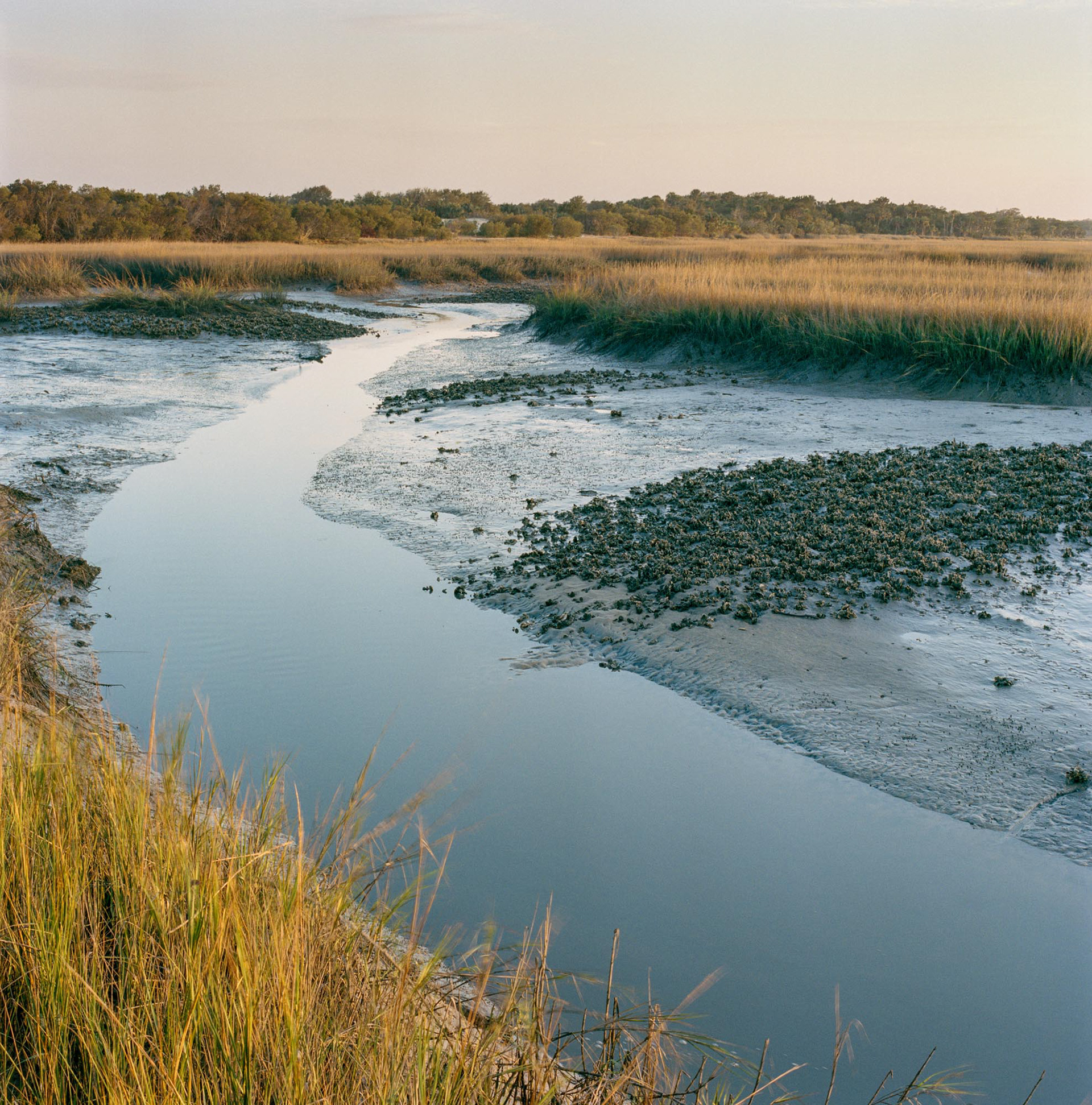 Christa Bowden, Tidal Creek through Salt Marsh in Winter, Dungeness, 2016 