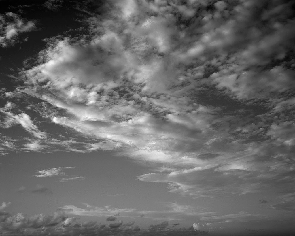 Emily J. Gómez, Wind and Rhythm #8, 2016