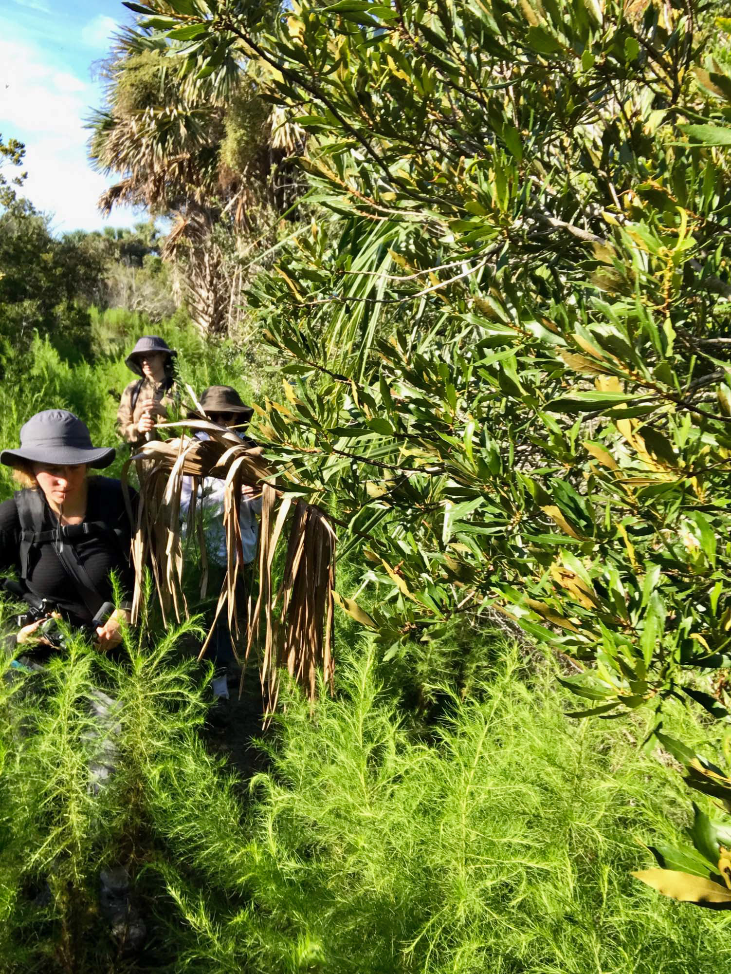 Hiking South Point Trail