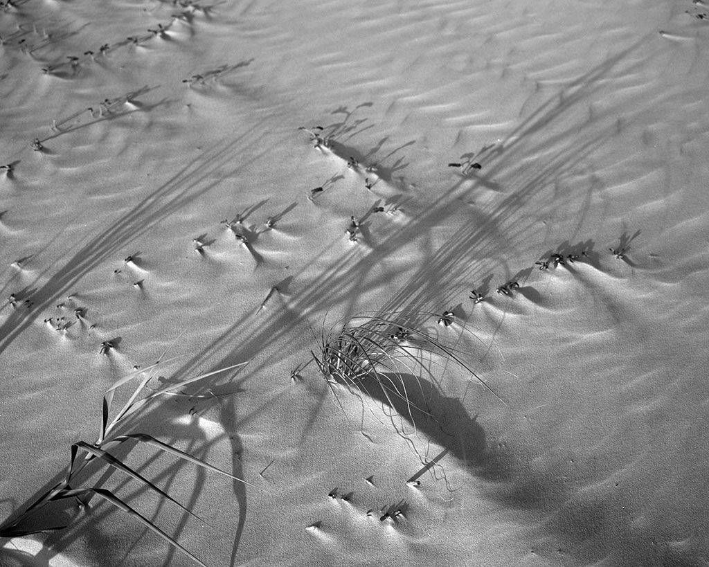 Emily J. Gómez, Wind and Rhythm #7, 2016